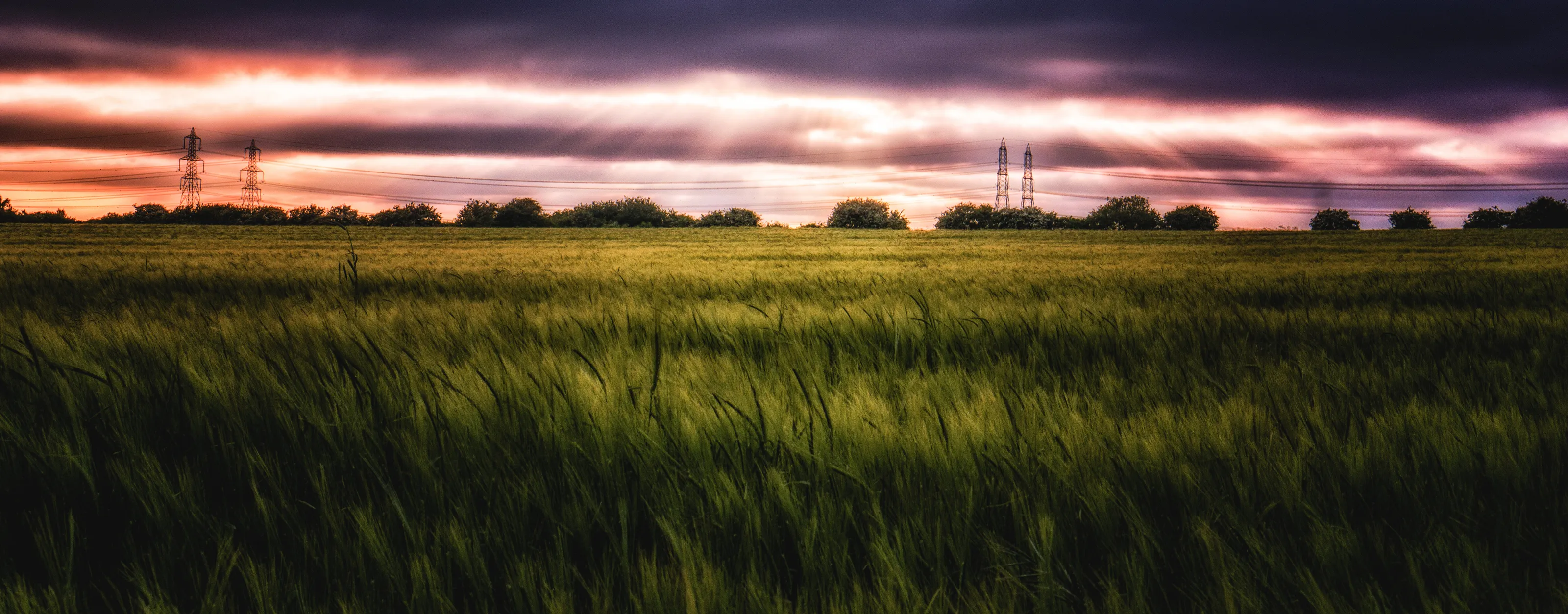 Field of Light and Power