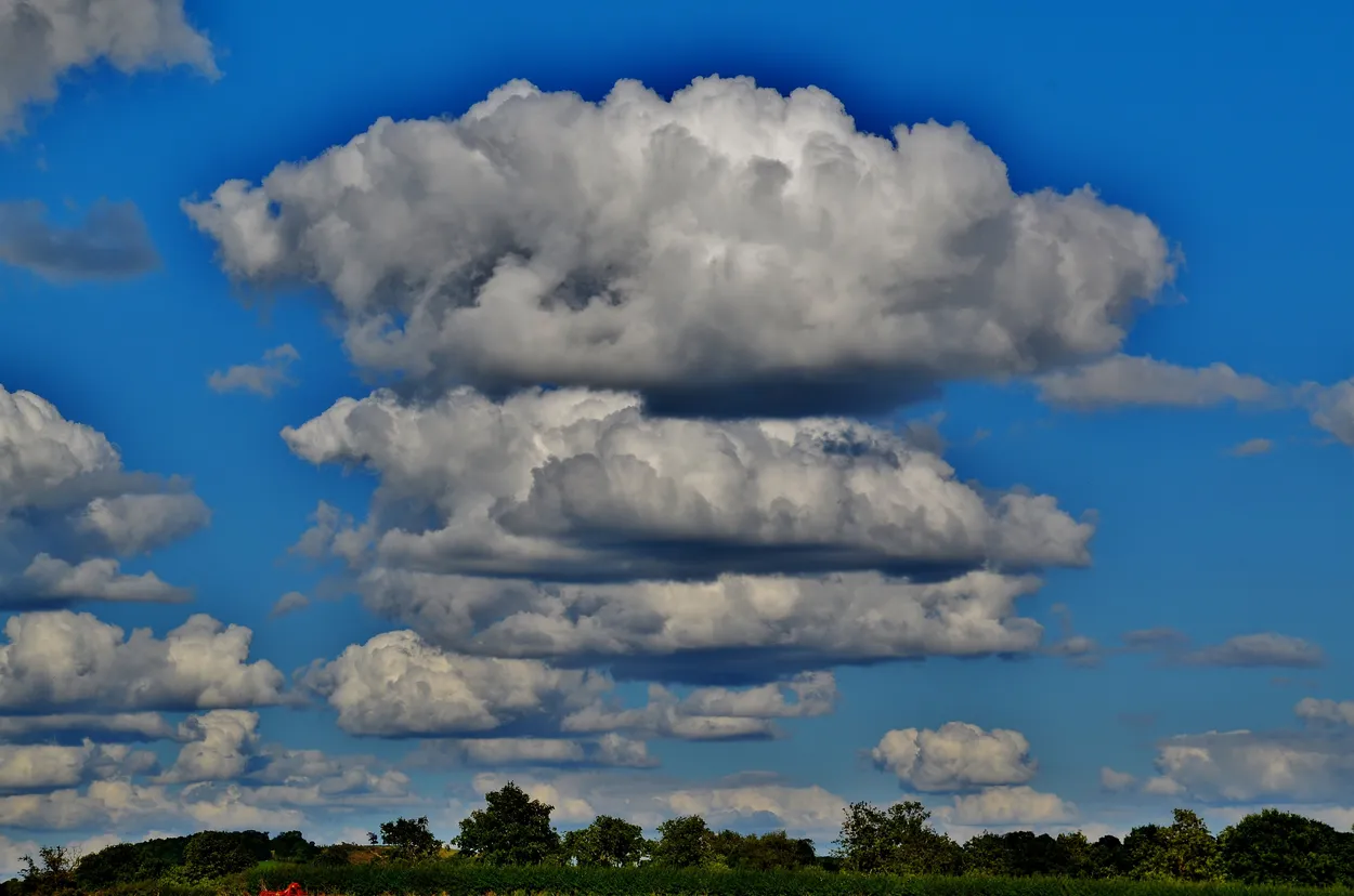 Entry 3090229
