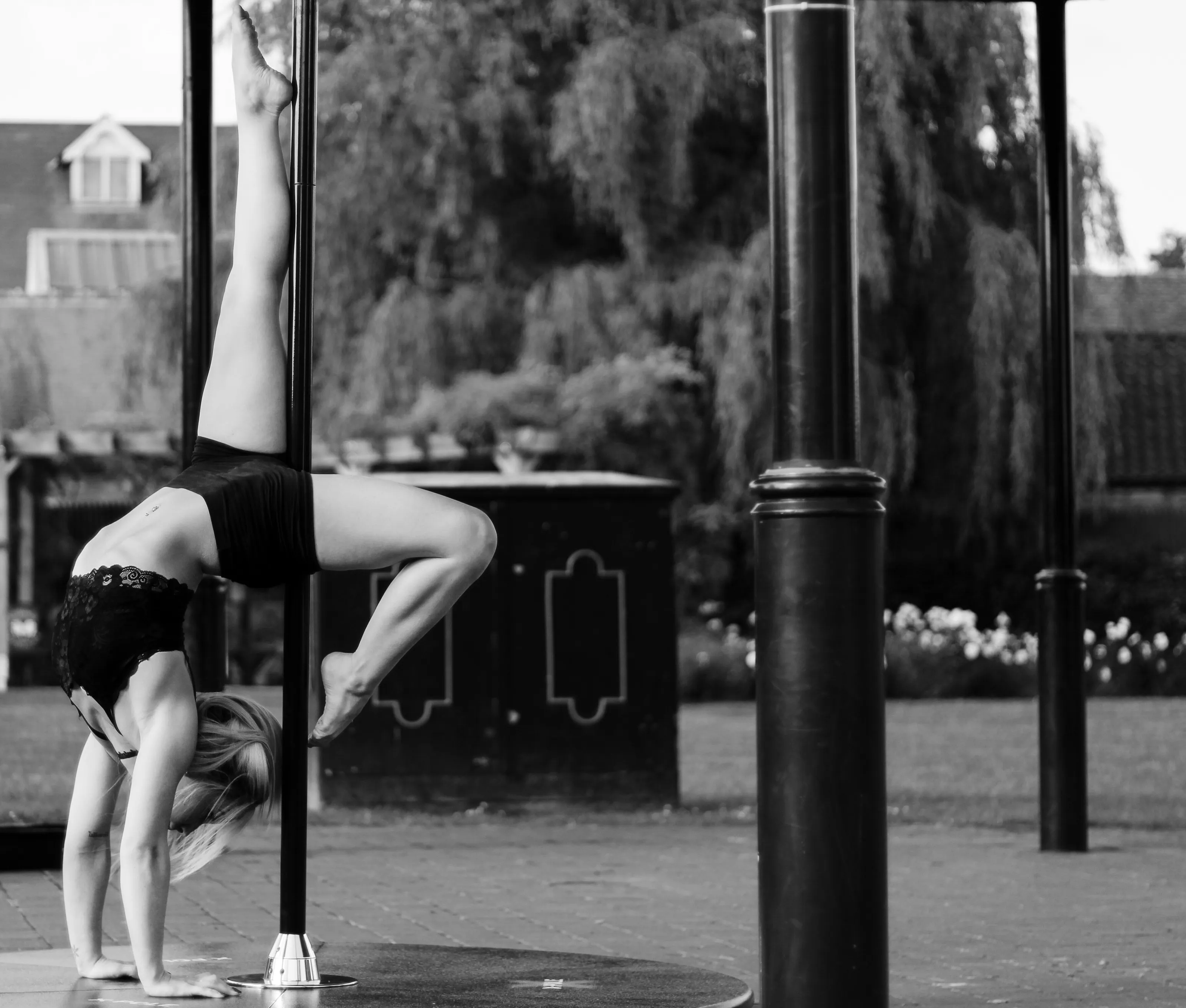 Pole dancer Bw