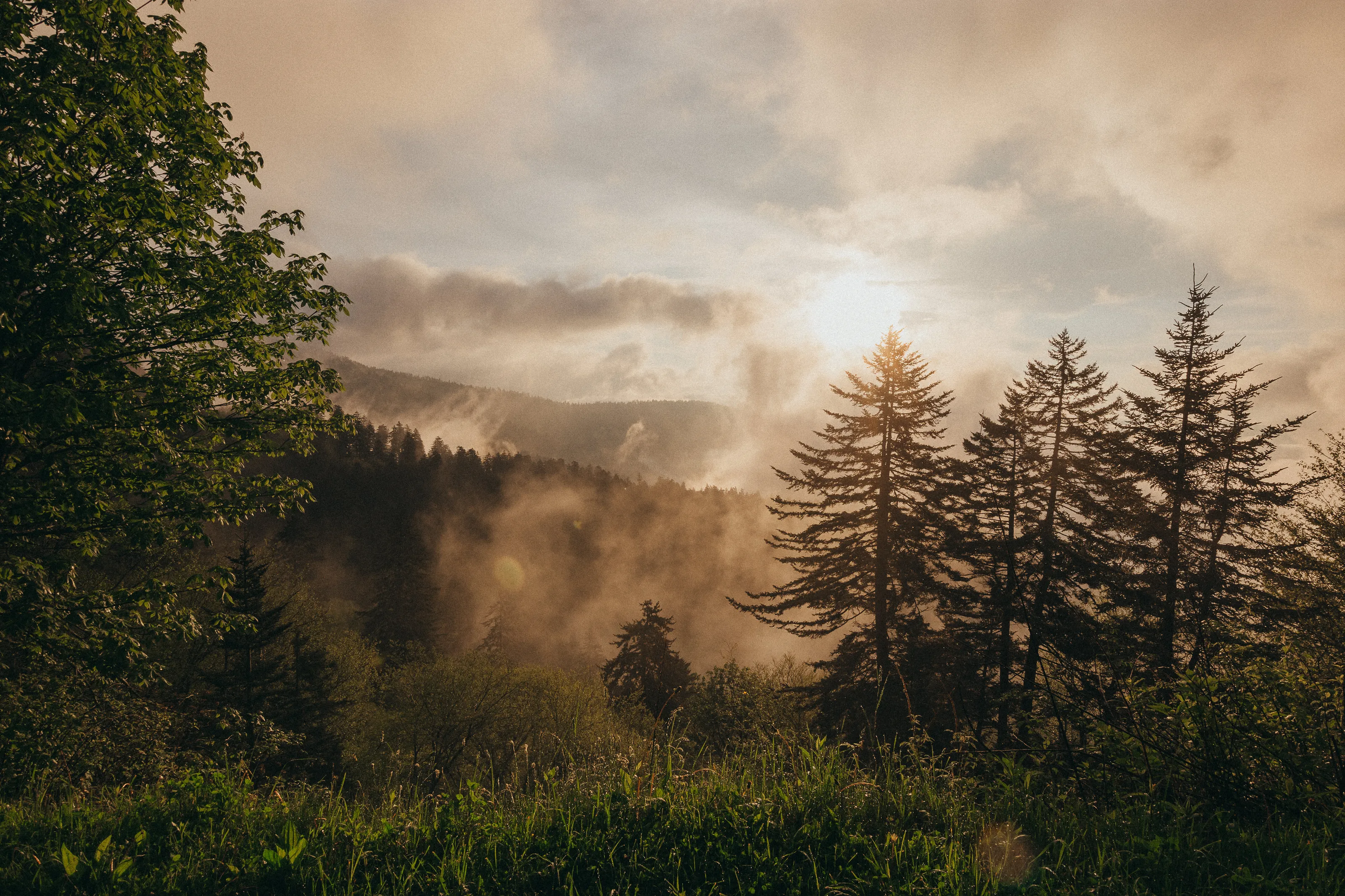 sunrise in the Smokies