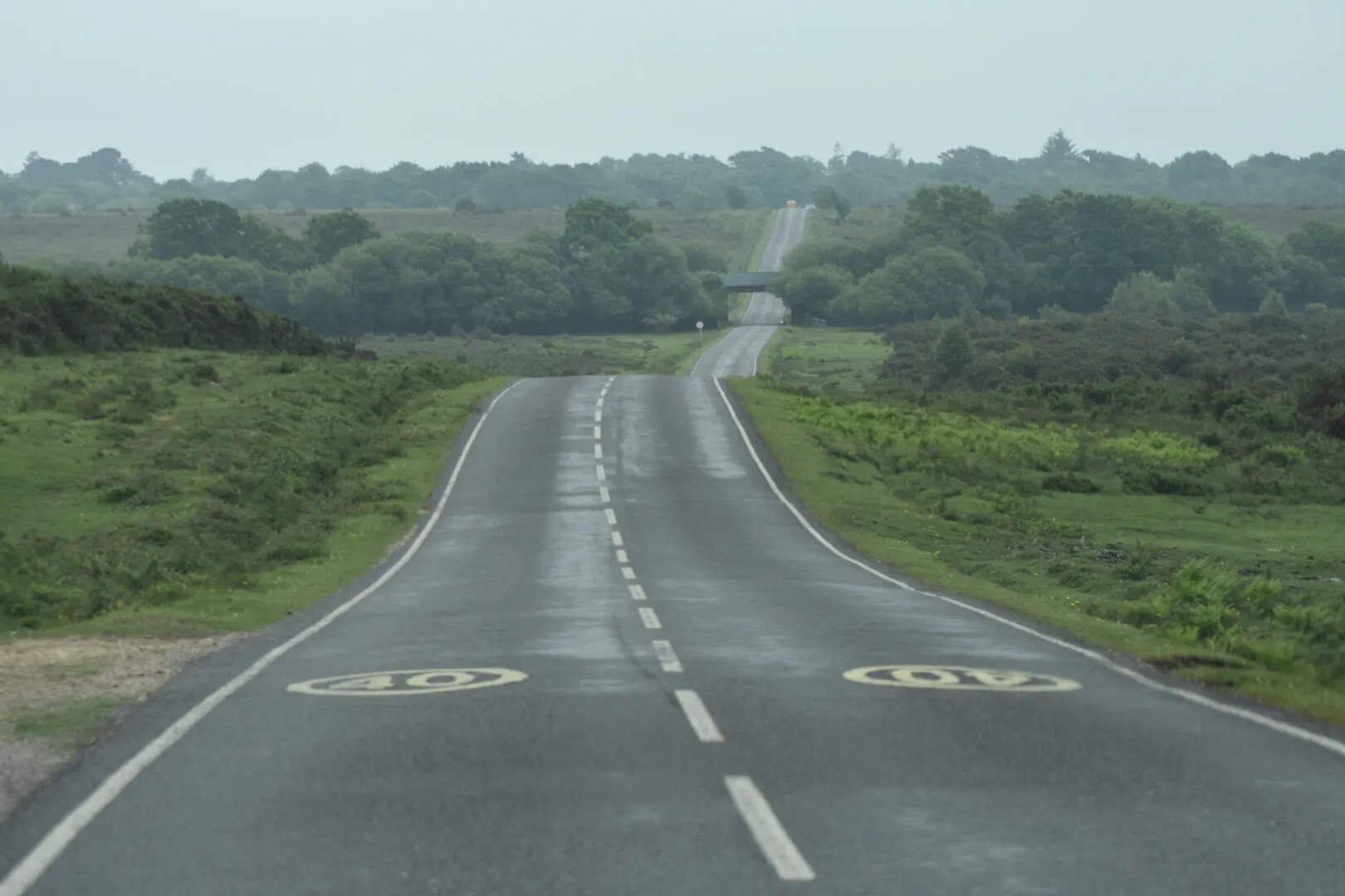 Old road-New Forest
