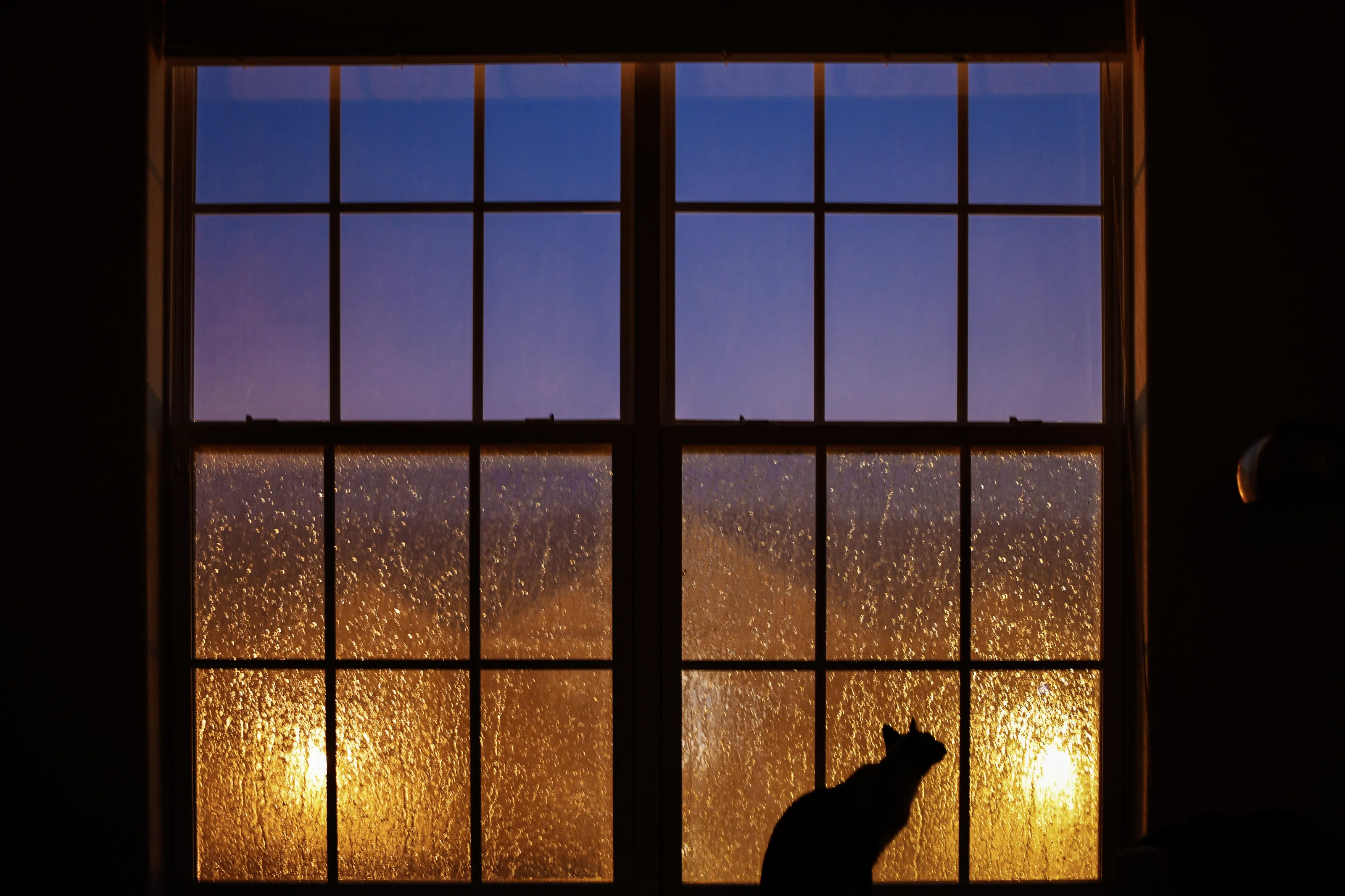 My Little Storm Chaser