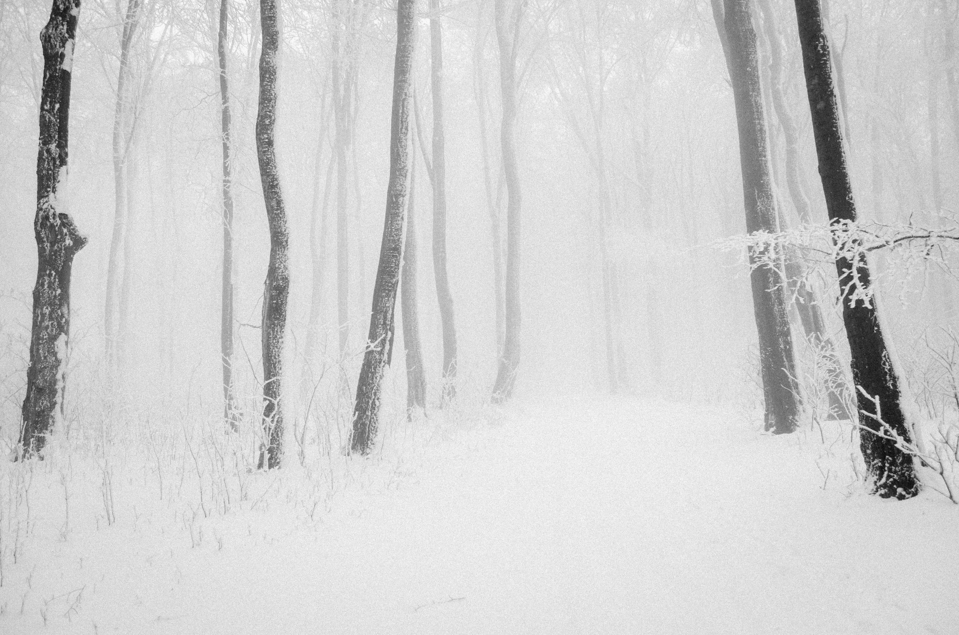 Icy day
