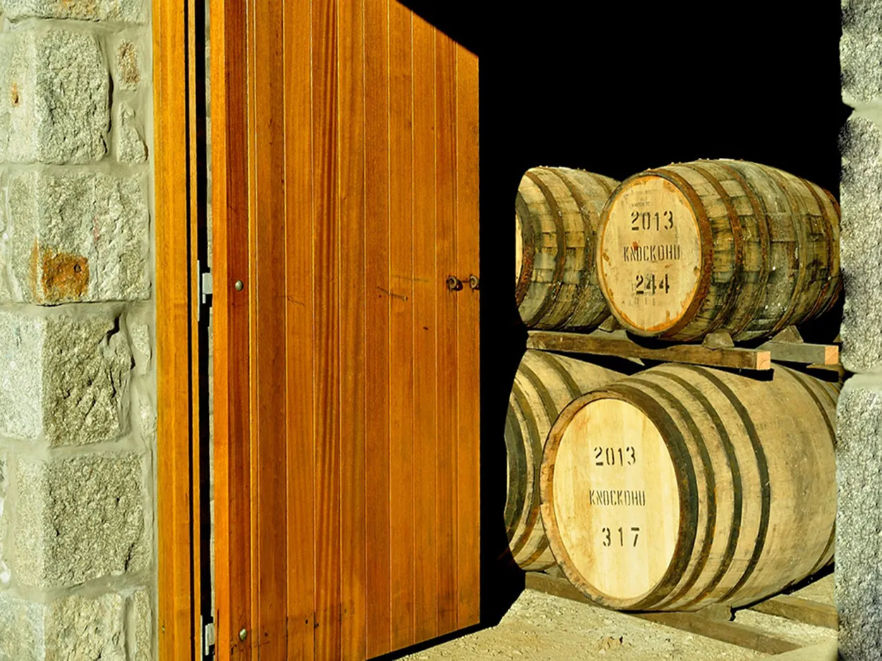 Entry 2254548