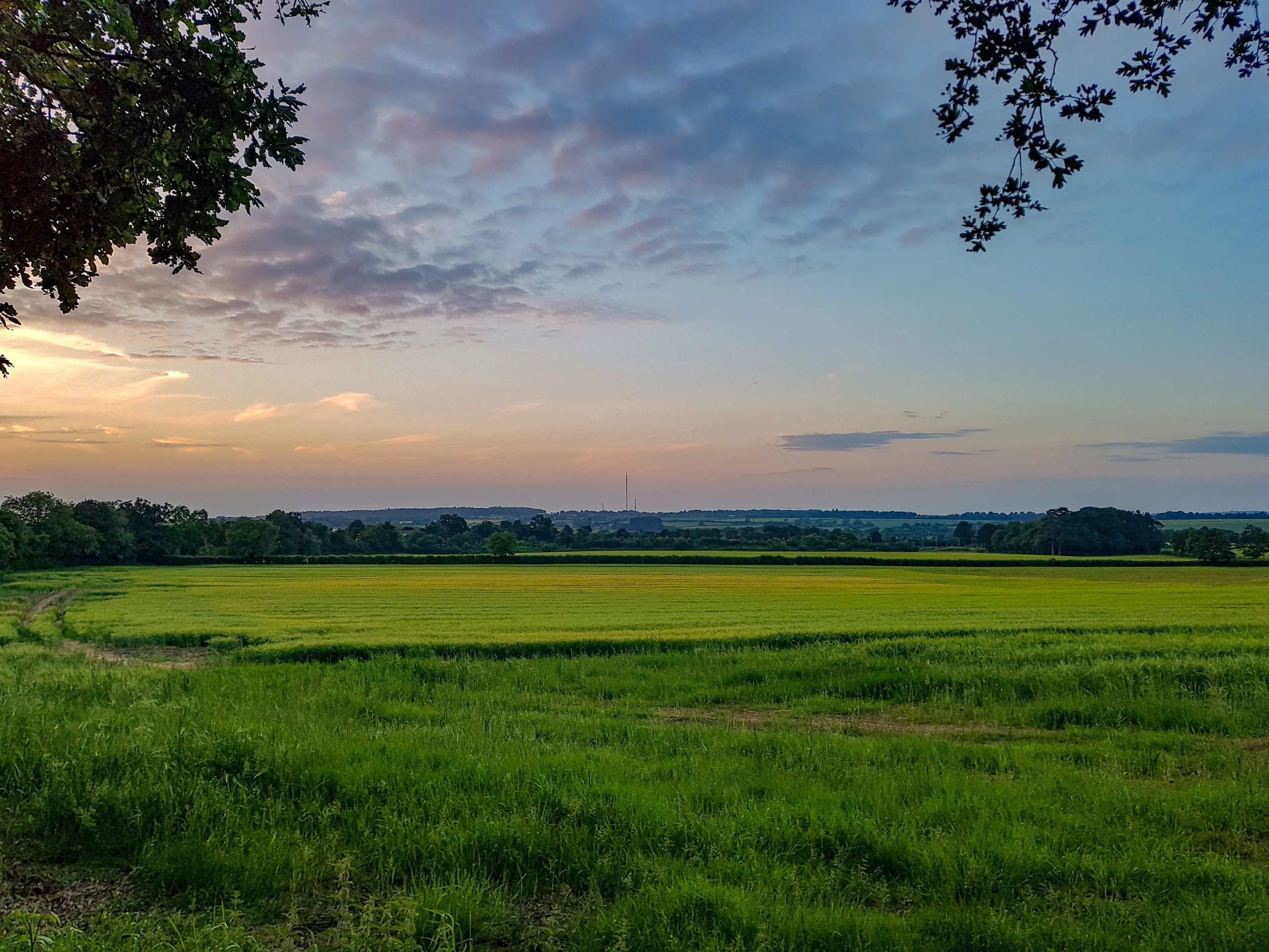 Shotover sunset