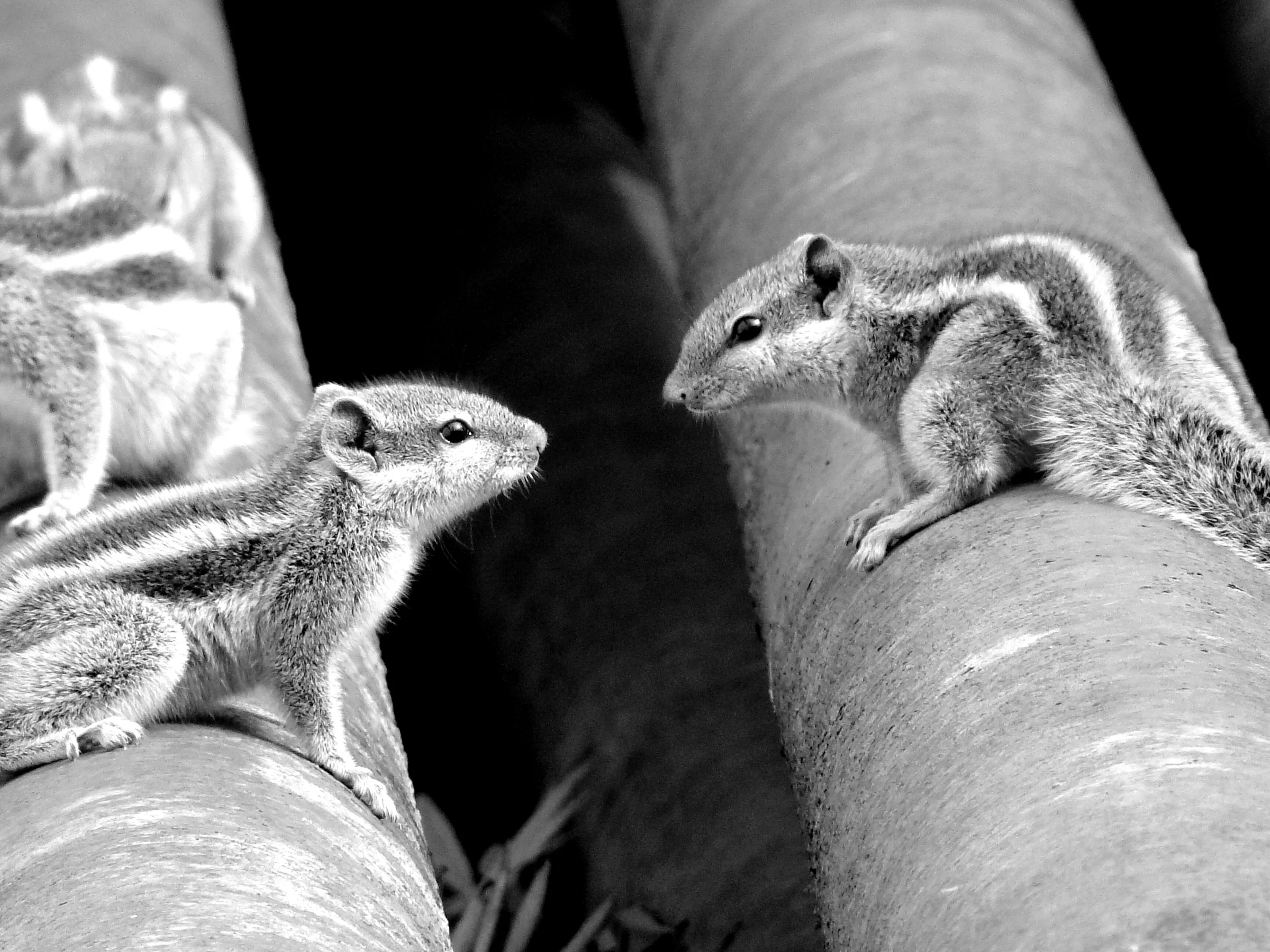 Apart, yet together...