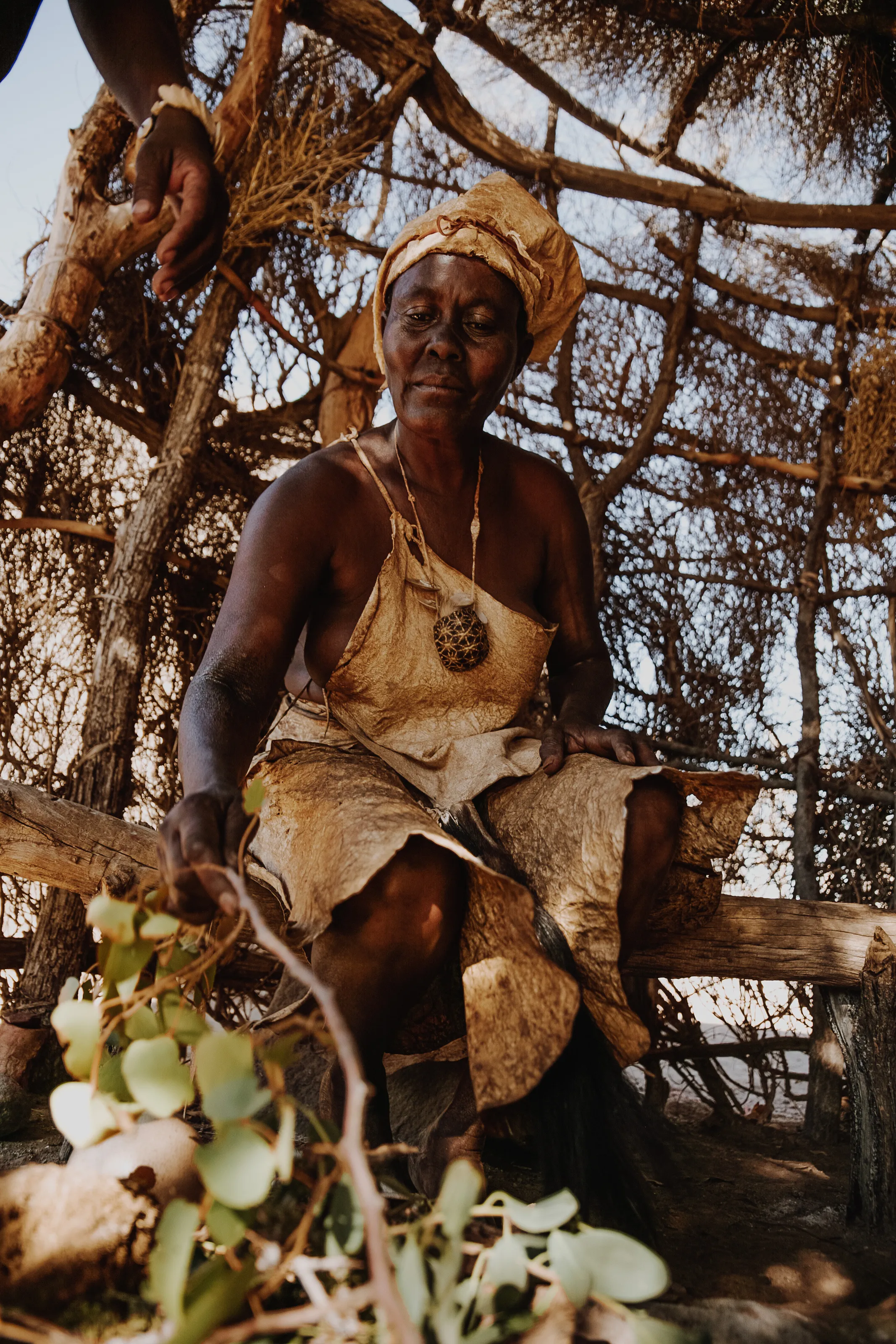 Damara Lady