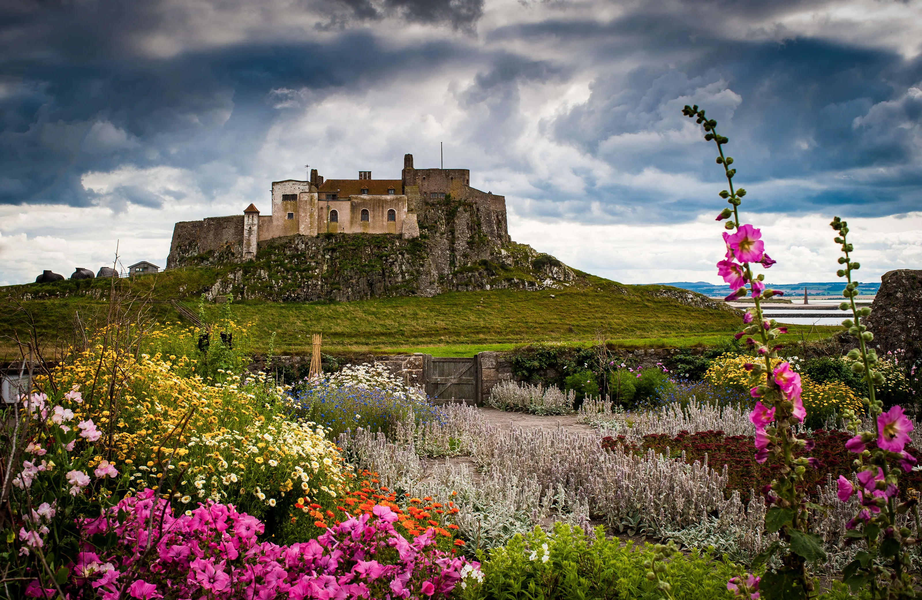 Holy Island Garden