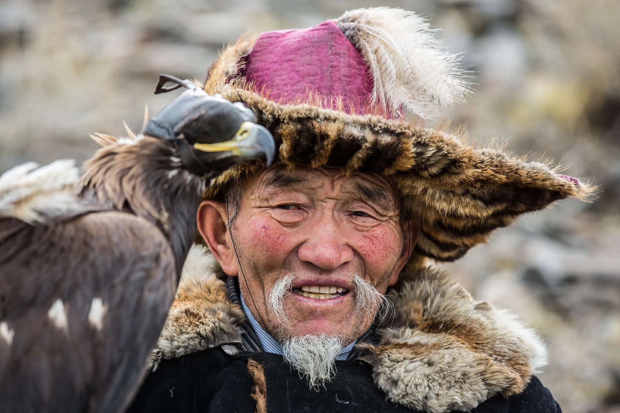 Kazakh eagle hunting in Mongolia