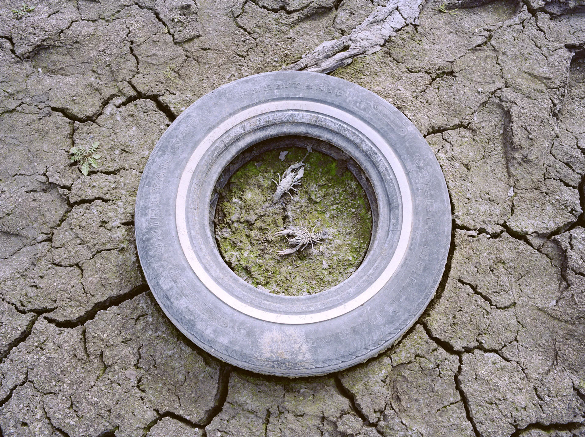 drought