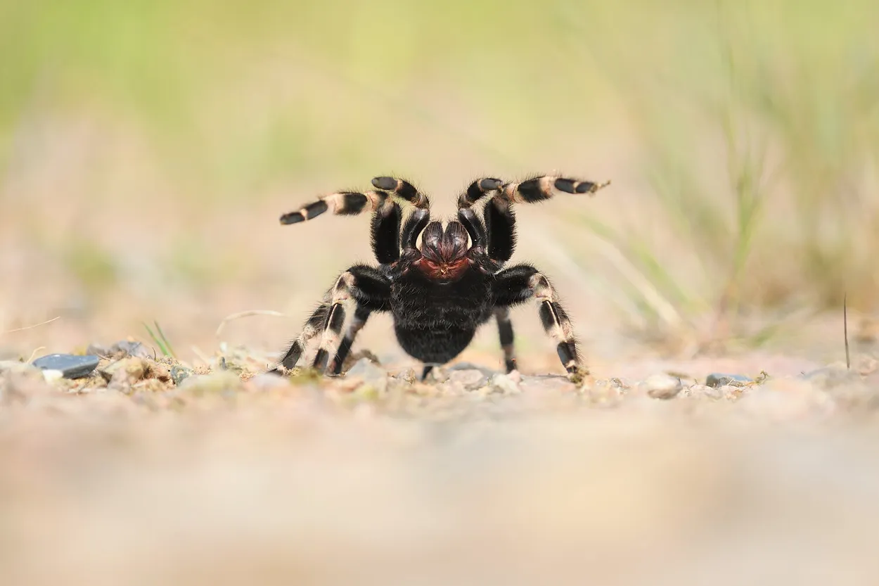 Fighting position