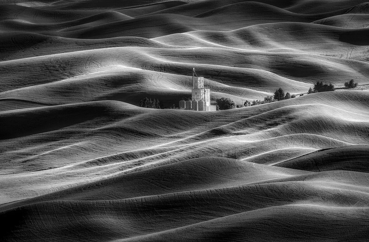 Shadows