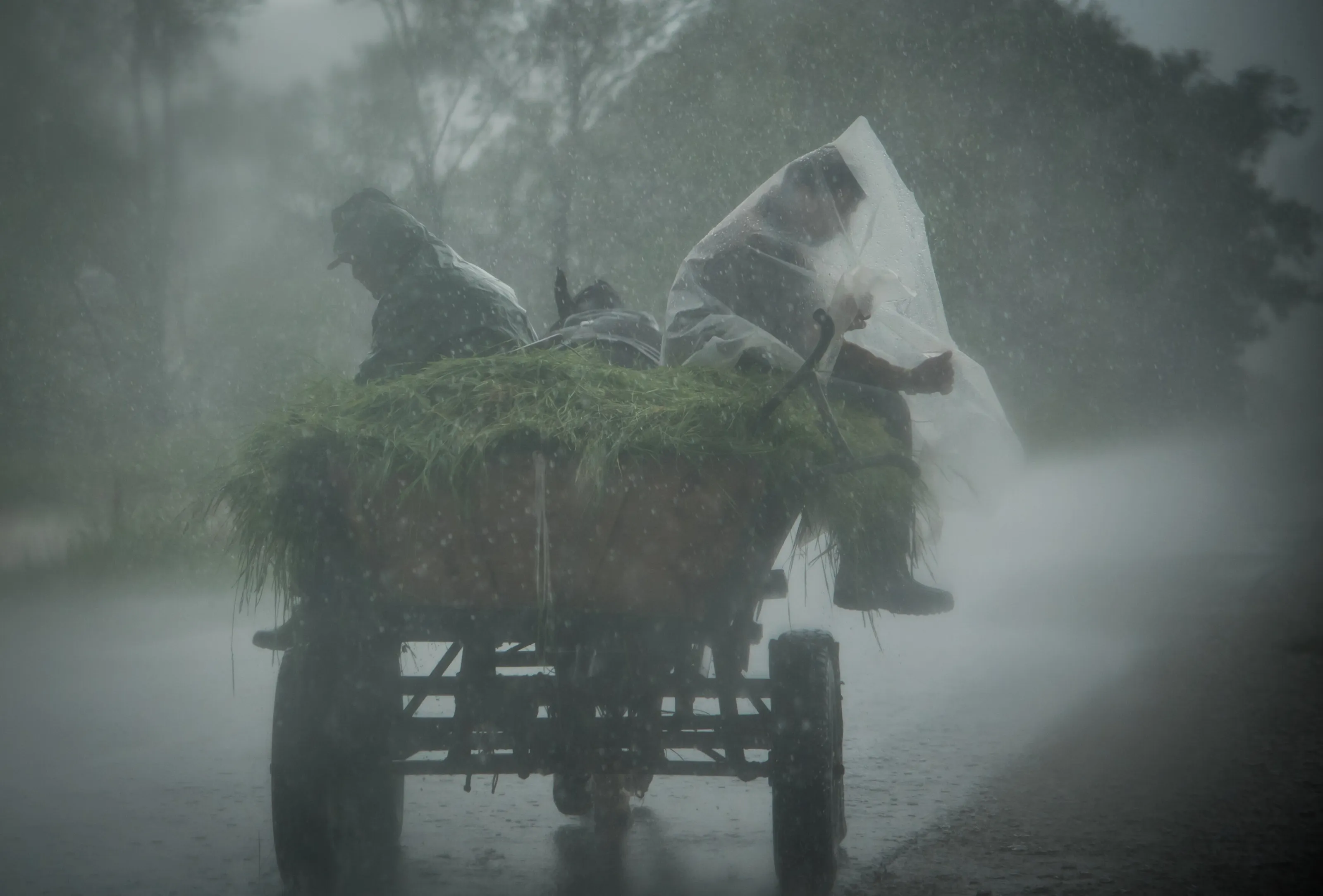 Rainy Road 2