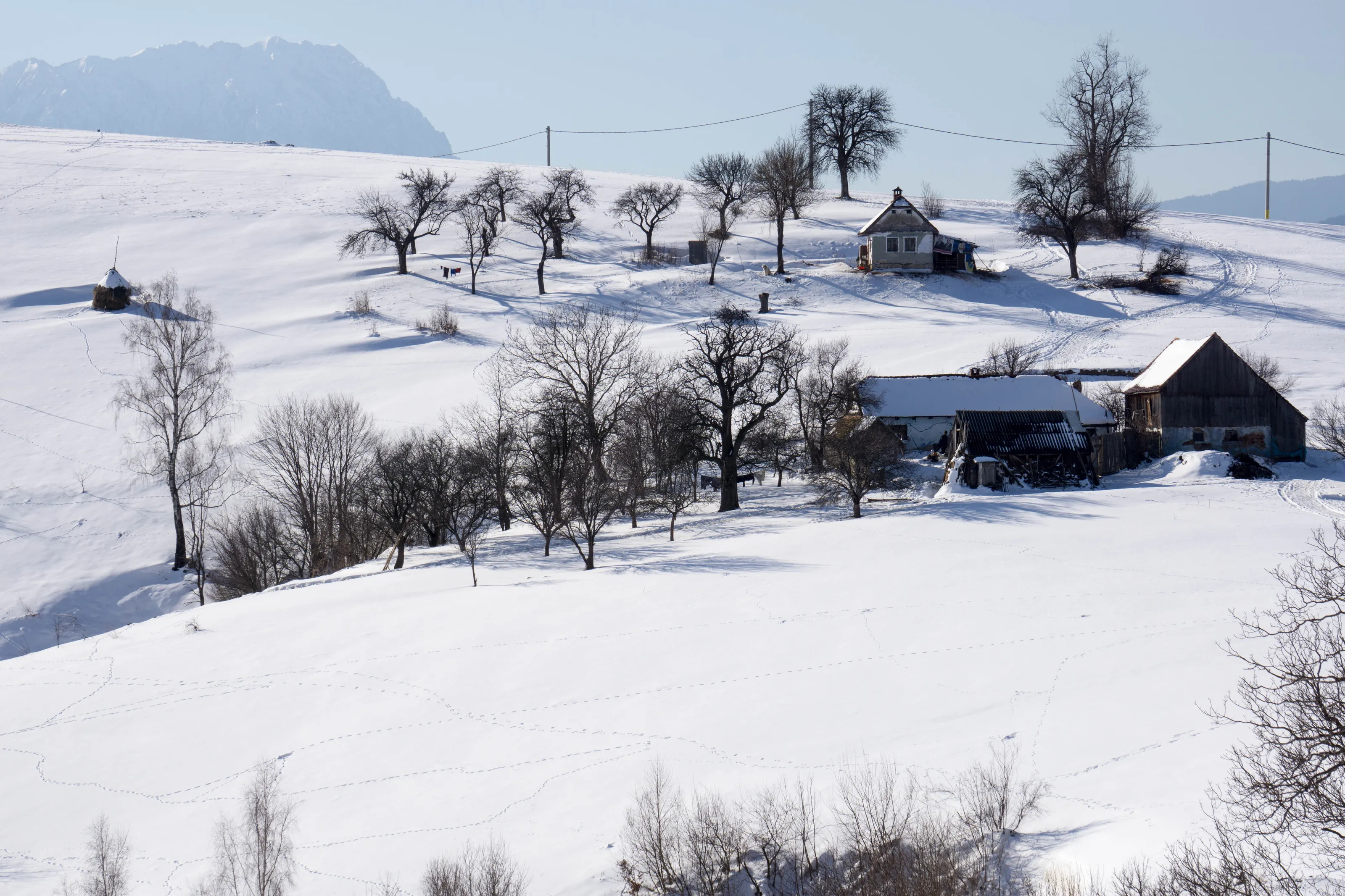 Winter in the country