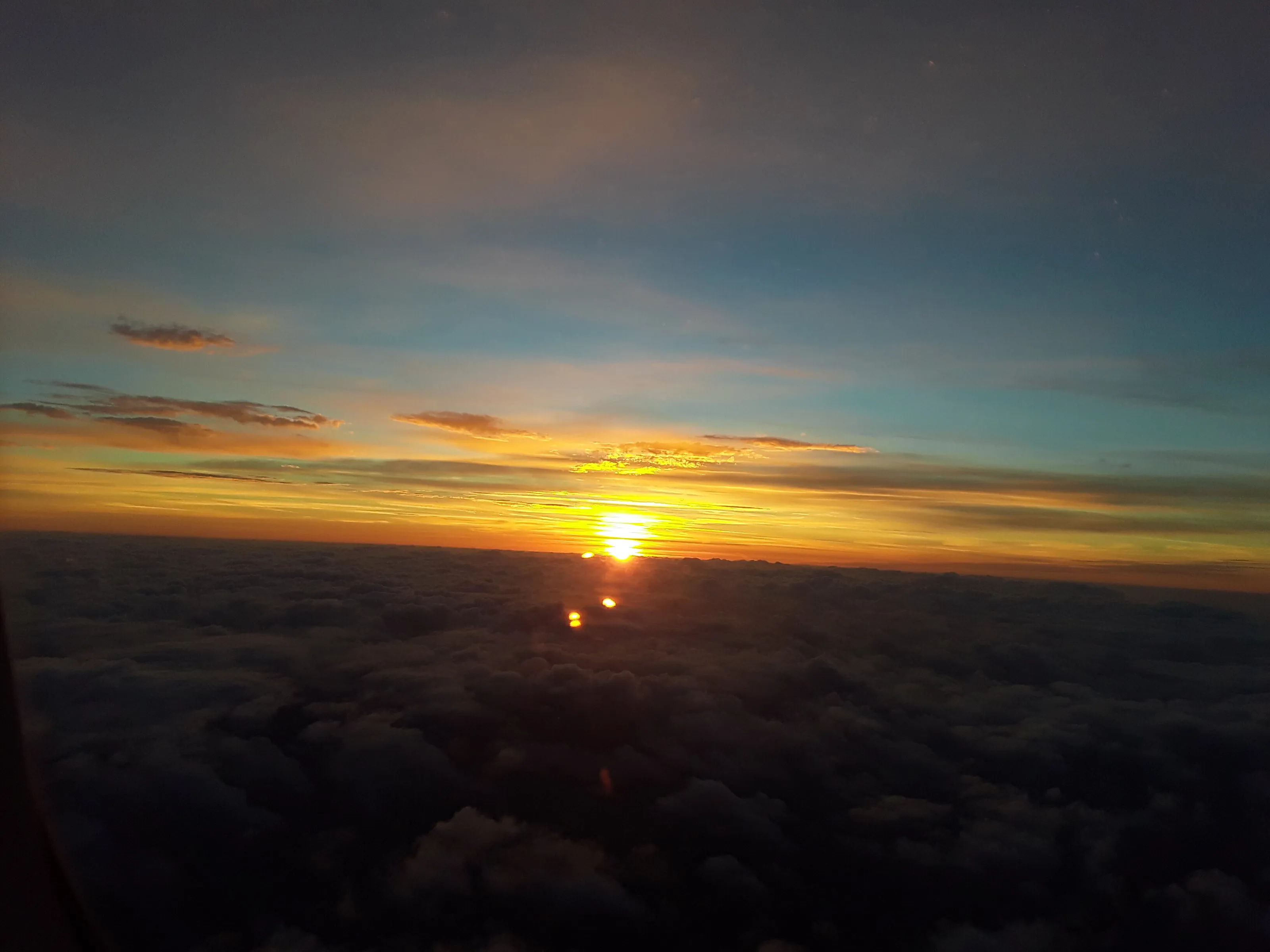 The Rise of Life