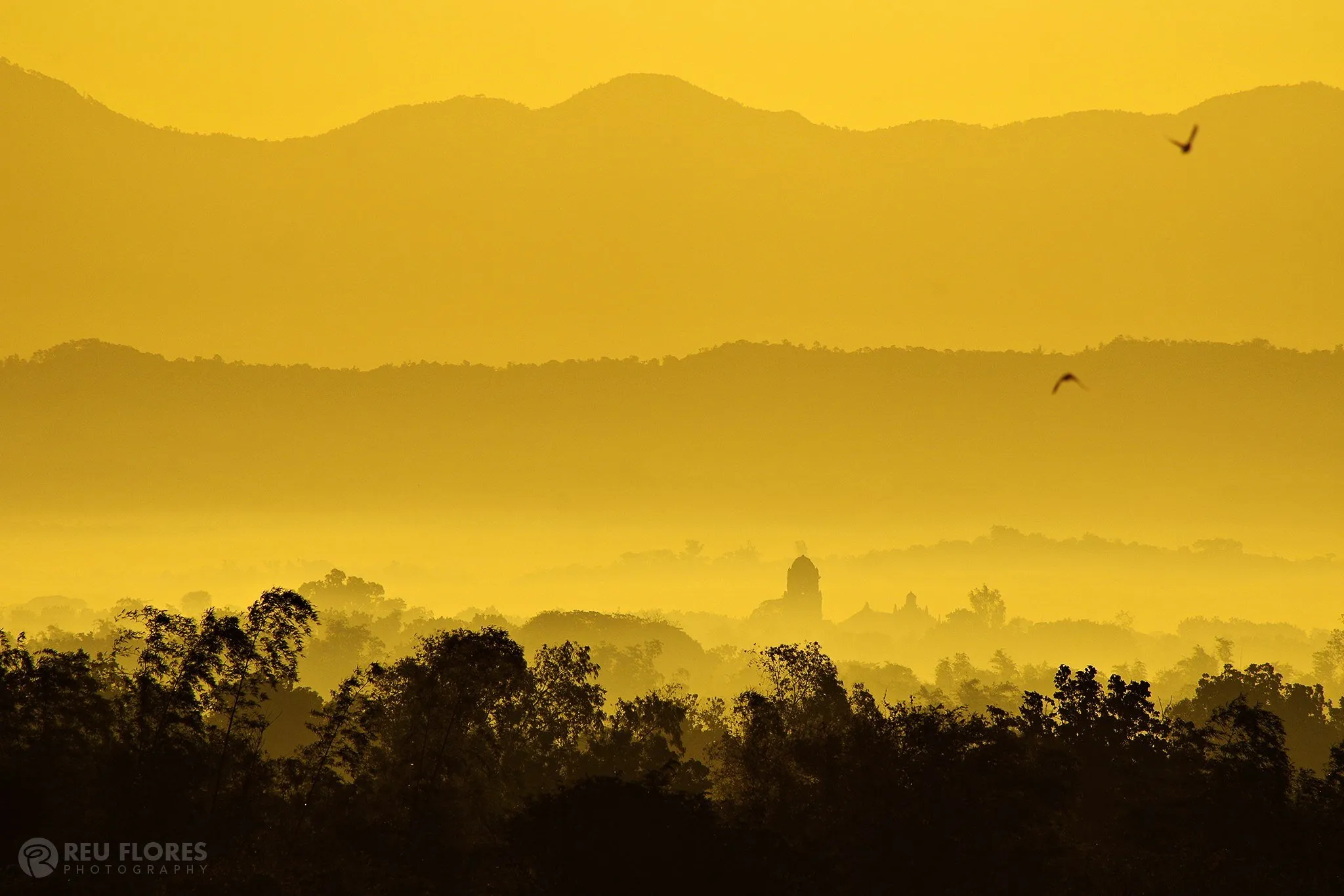 Layers of Nature