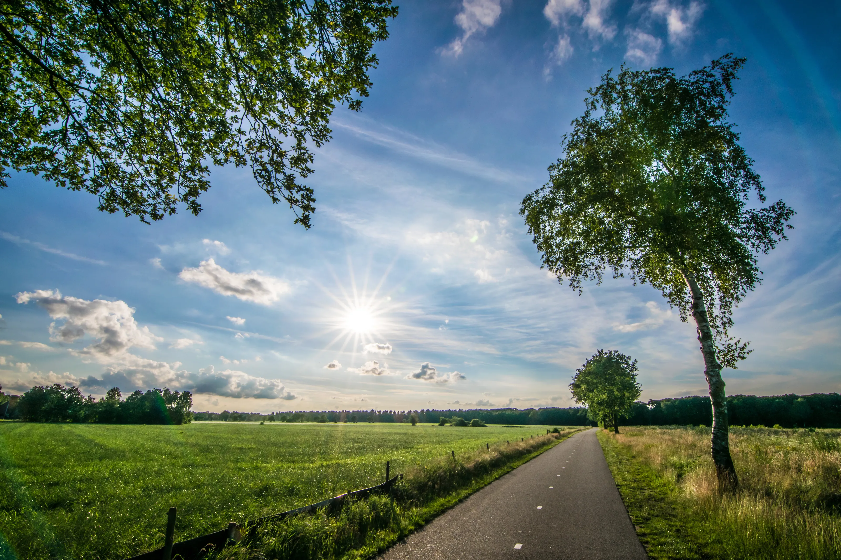 Beautiful landscape