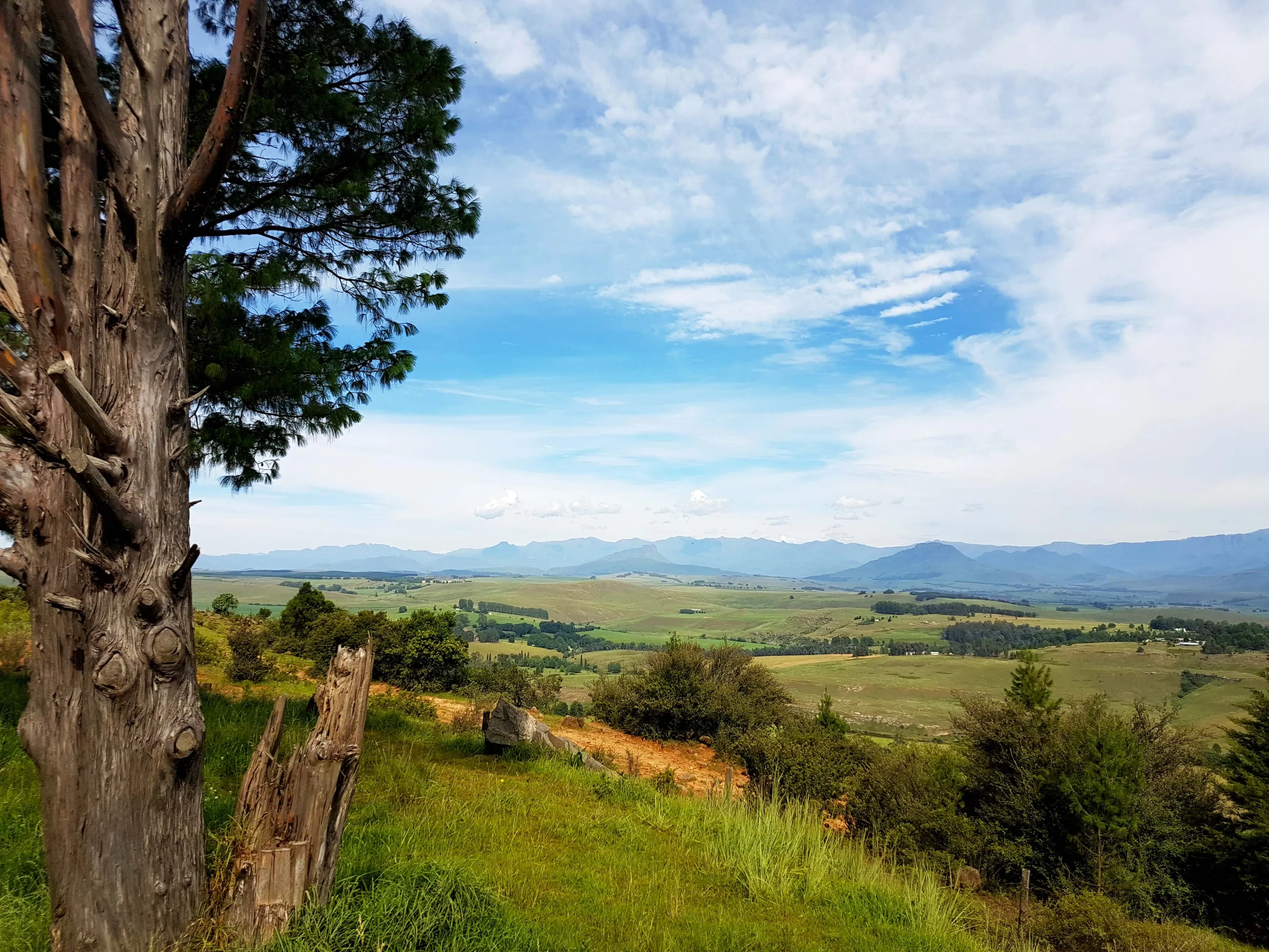 Underberg Splendor