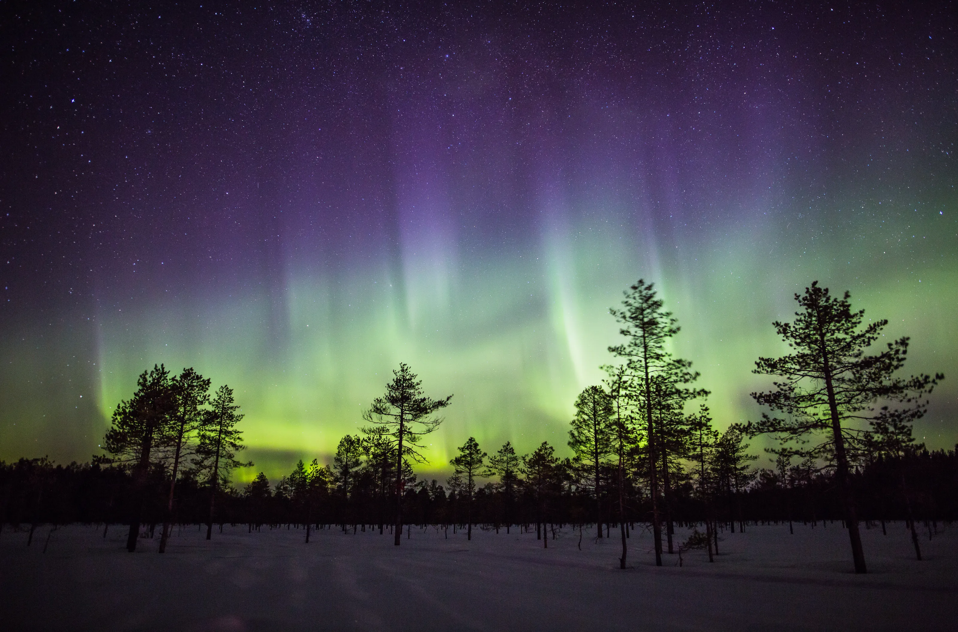 Aurorashow