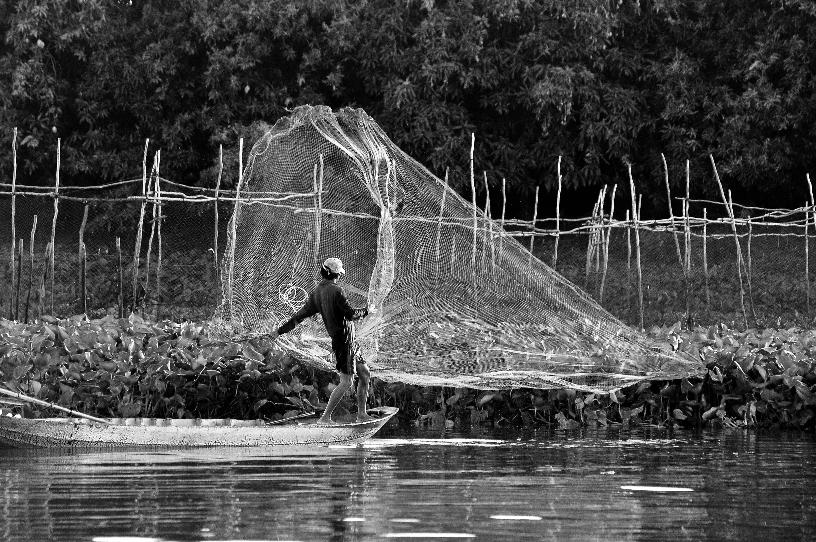 Mekong Delta Fisherman, Vietnam