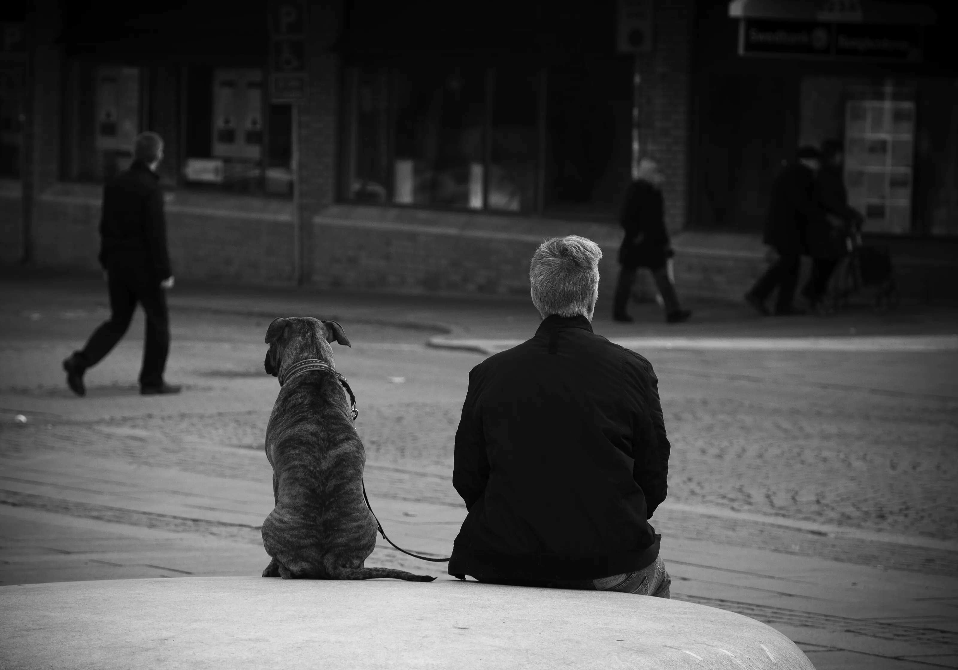 Friendship