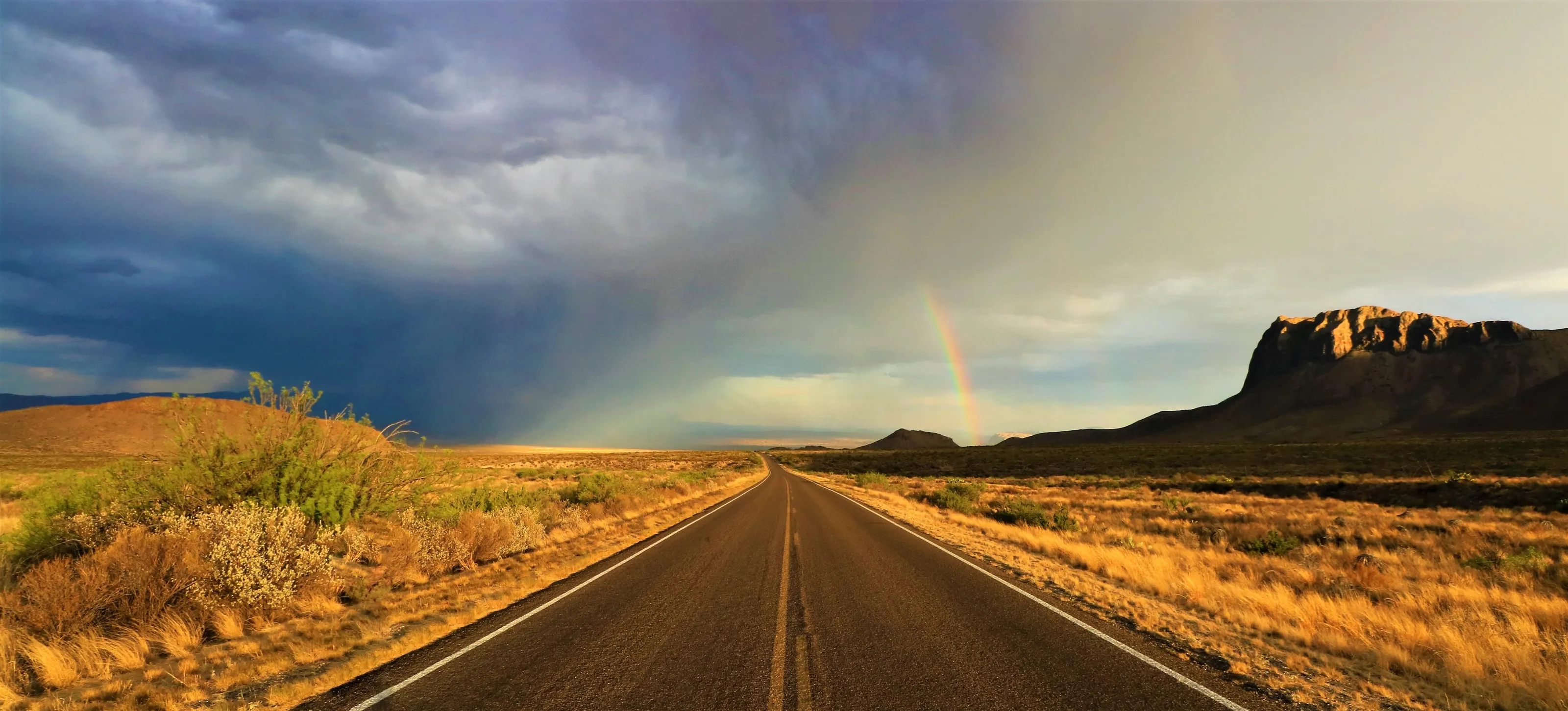 Desert Storm