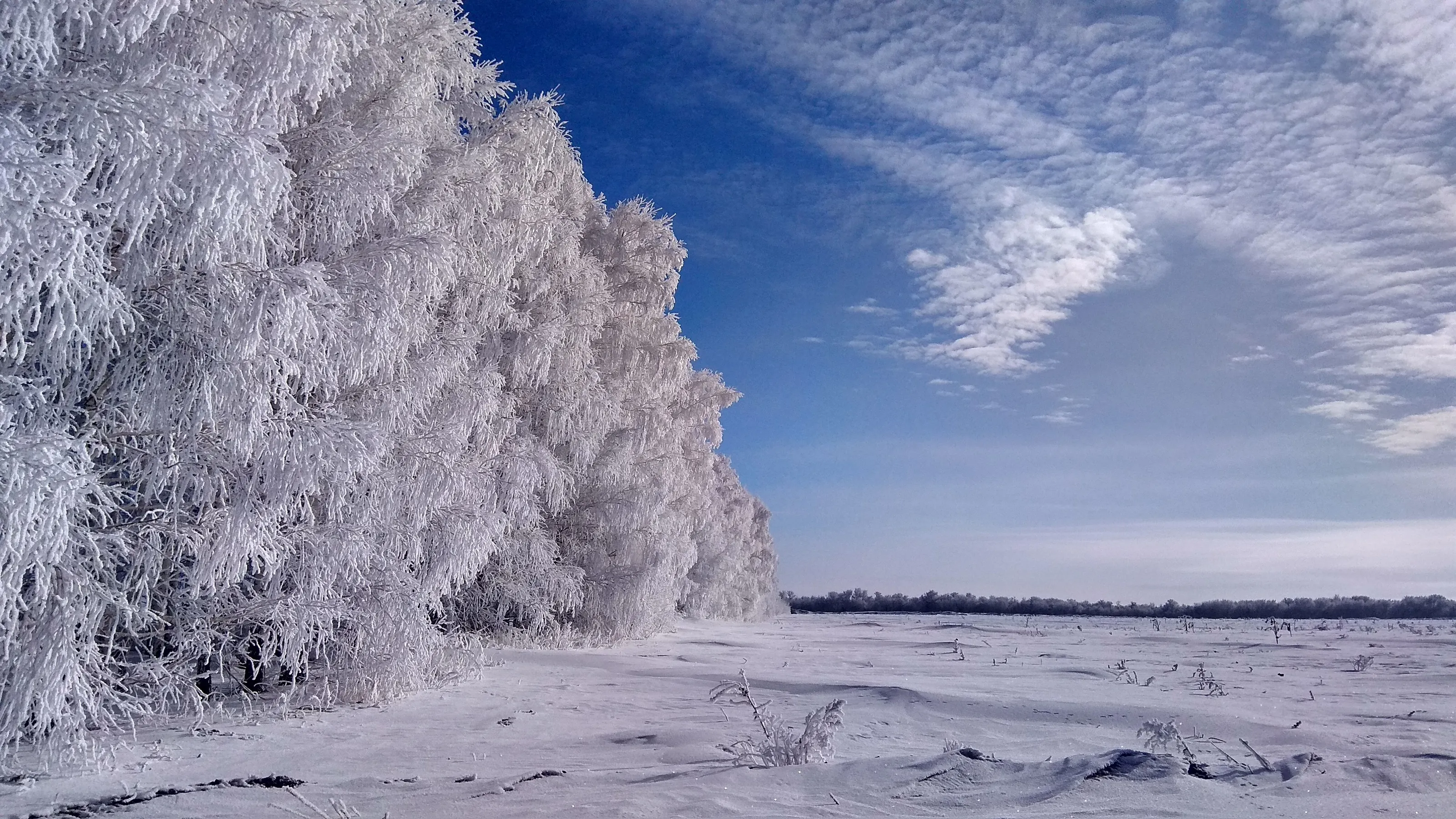 Frosty Border