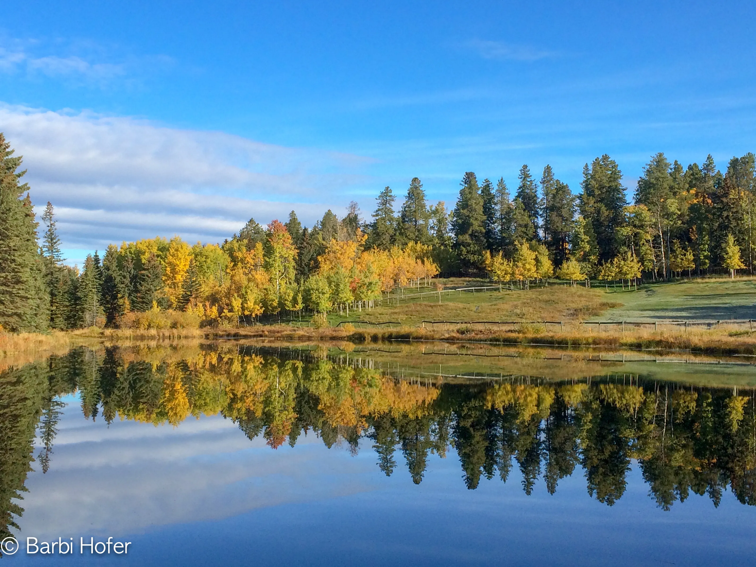 Fall Reflections