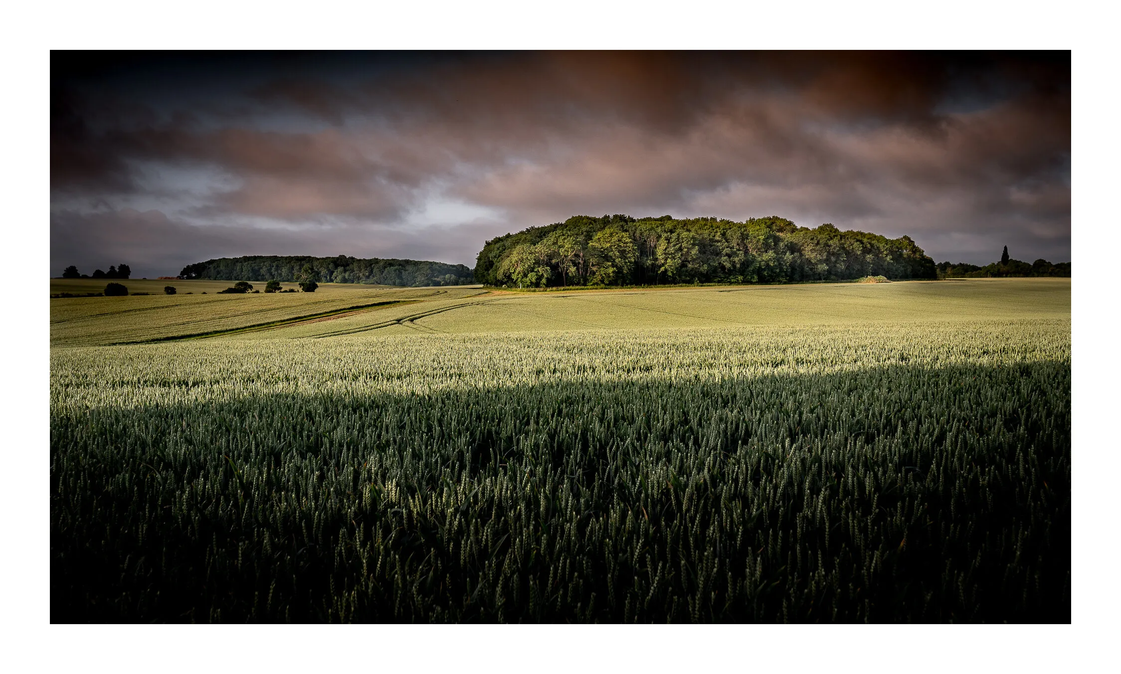 Suffolk Summer