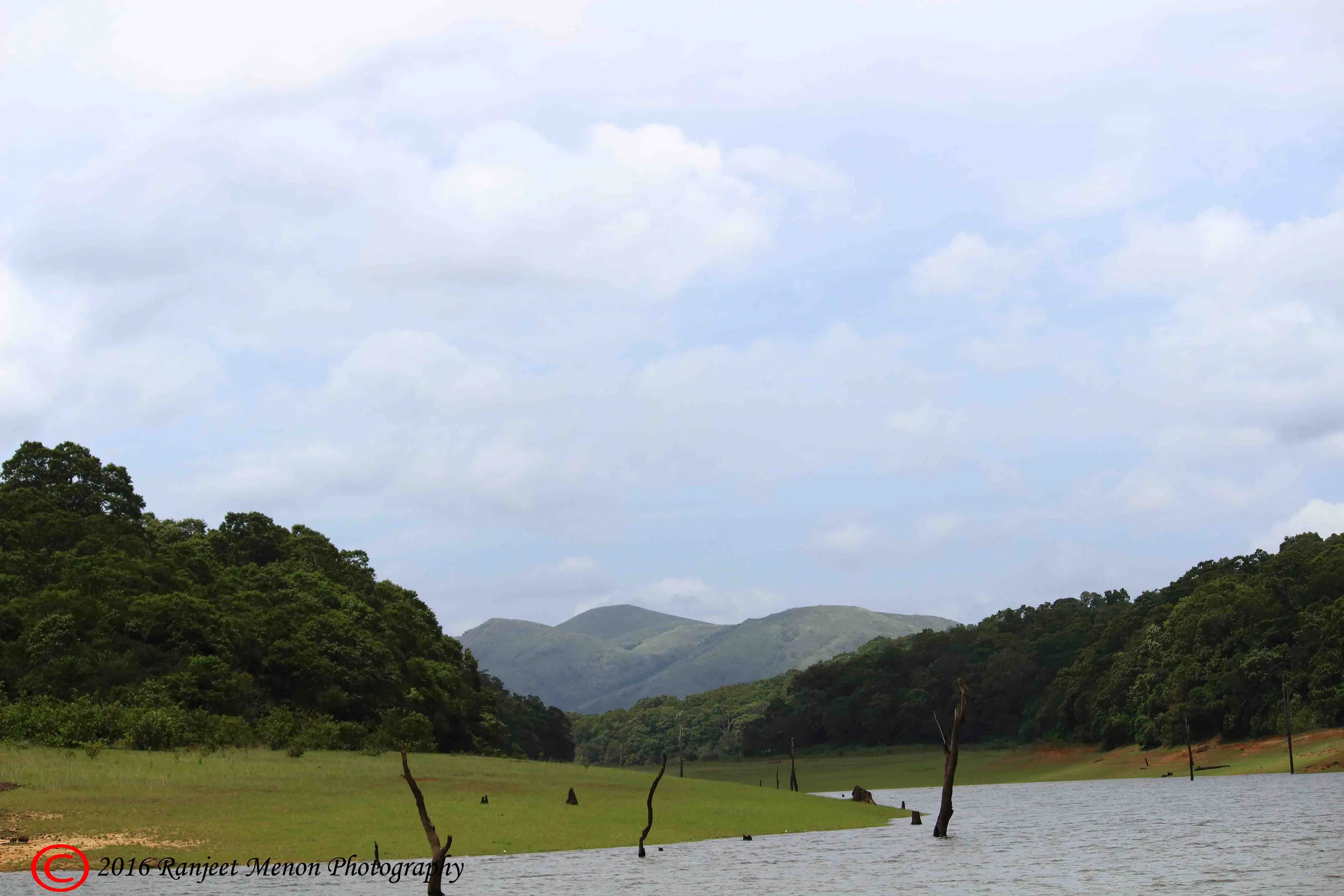 Landscape