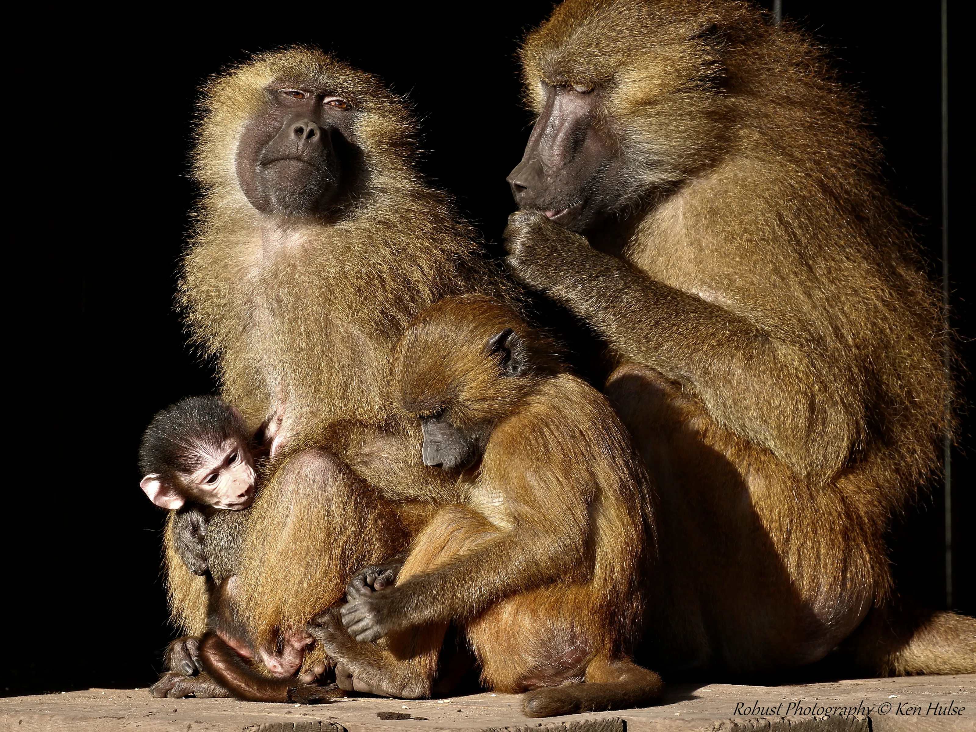 Family