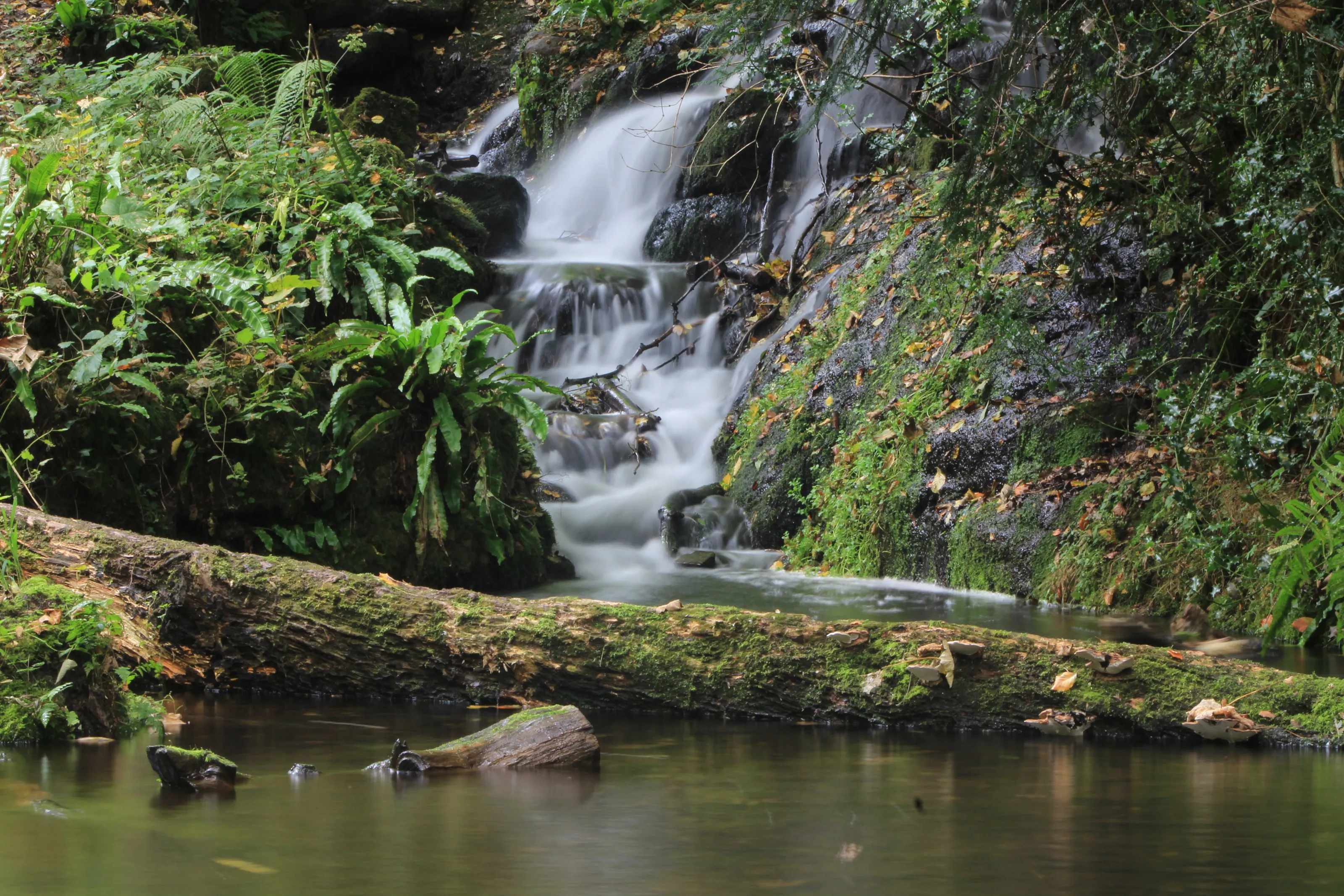 Beautiful Badger Dingle waterfall