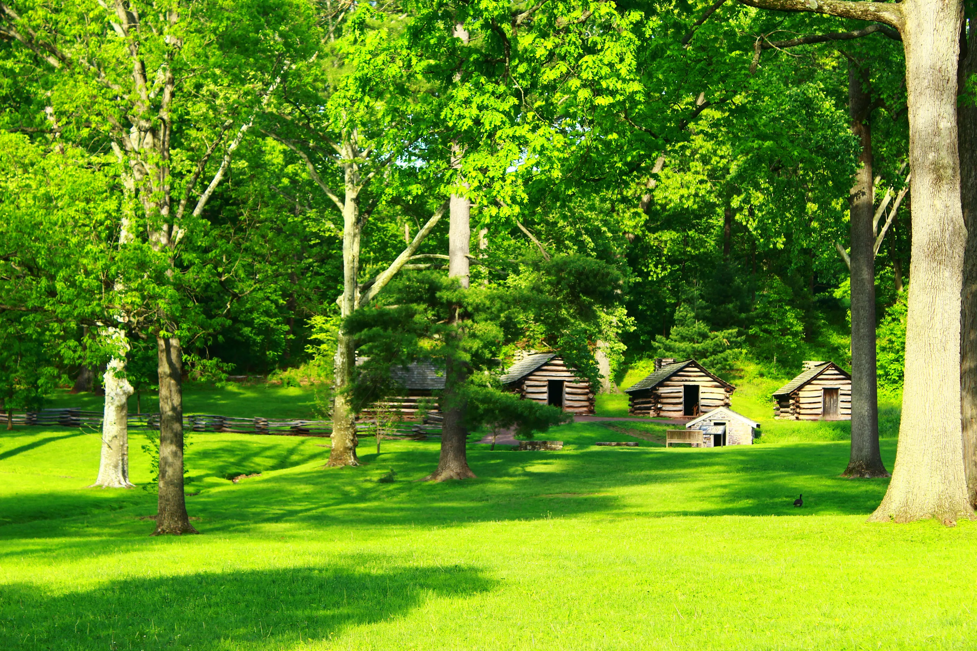 Glorious green