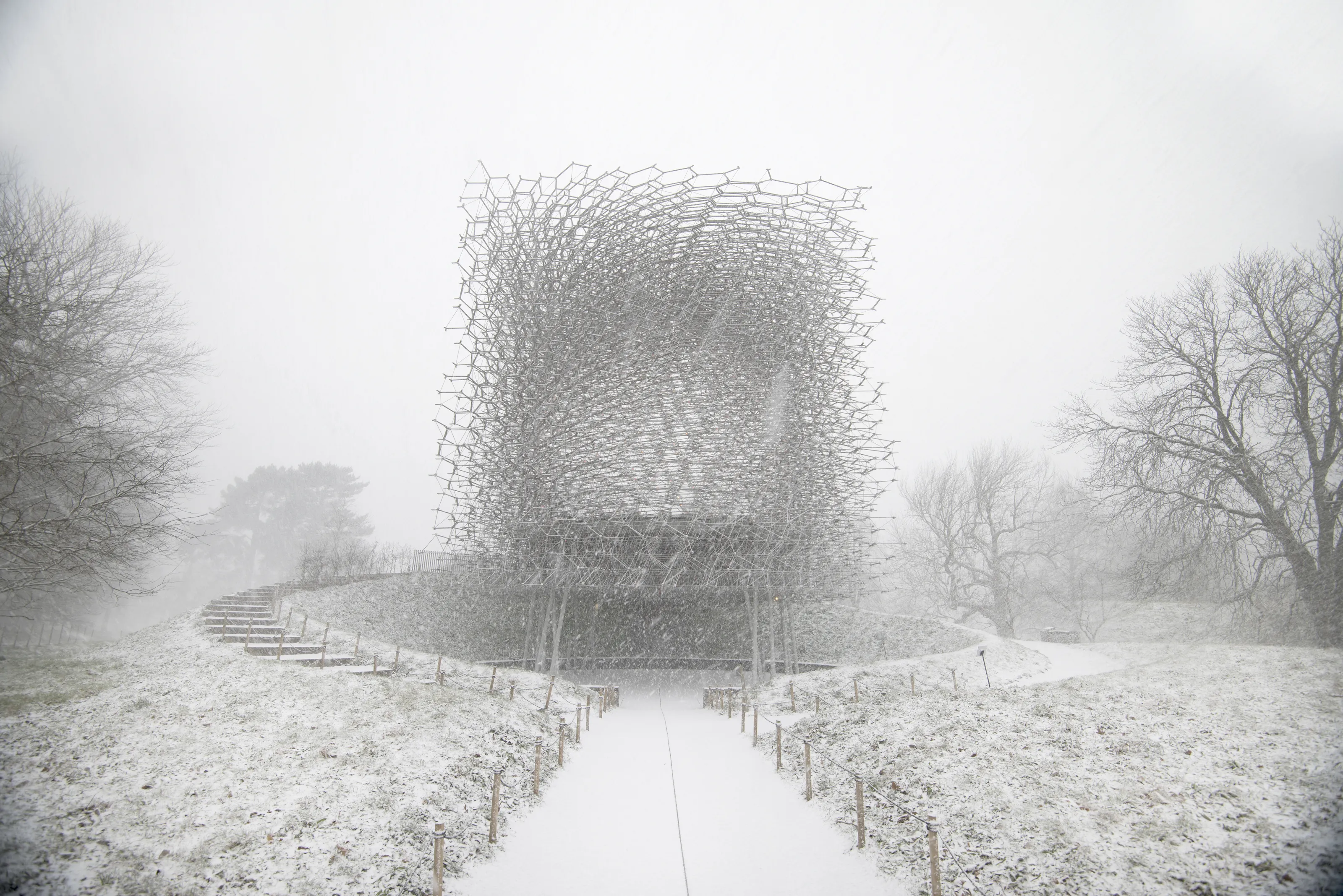 The Hive in Winter at Royal Botanic Gardens, Kew