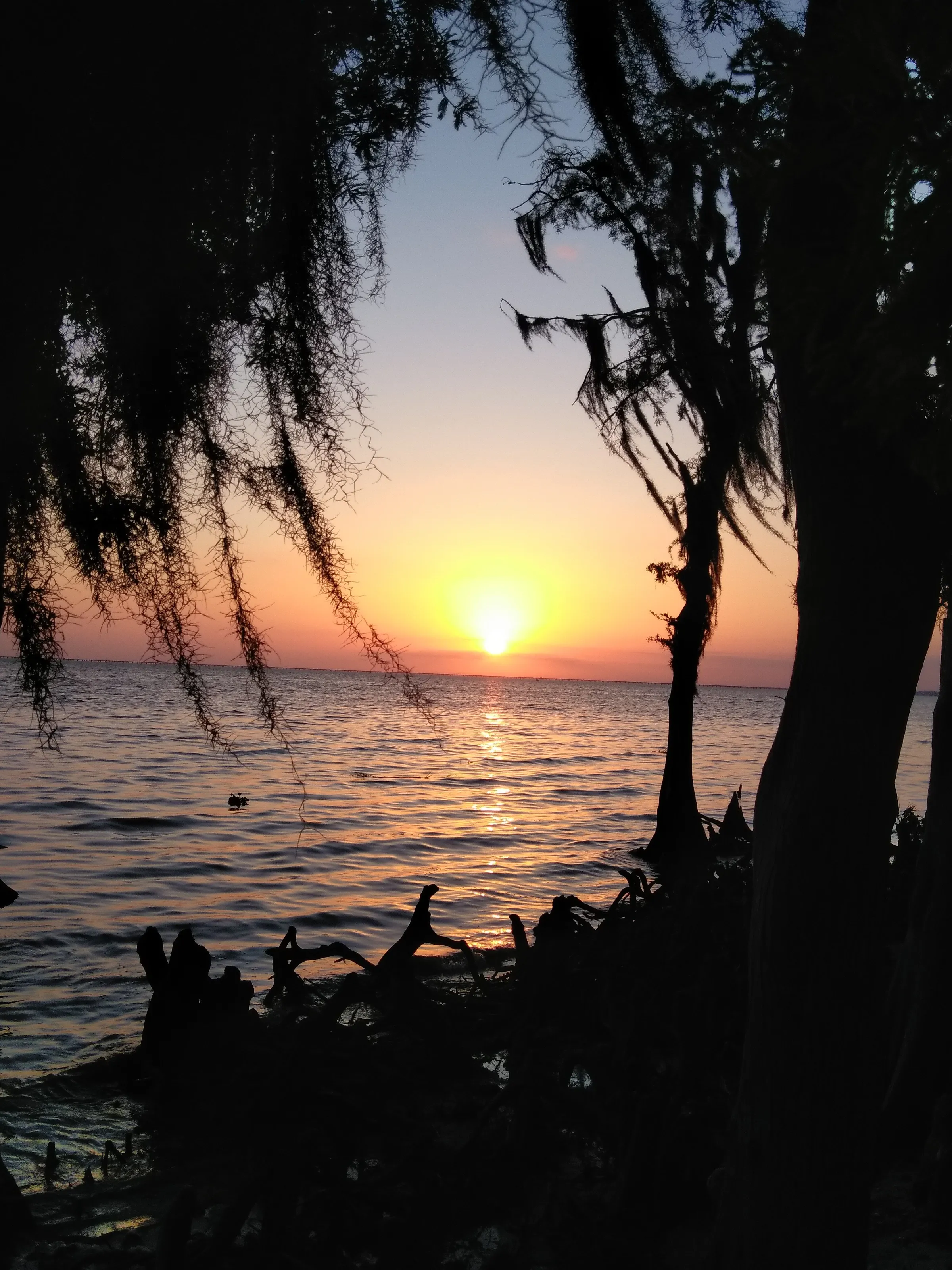 Nature at it's best