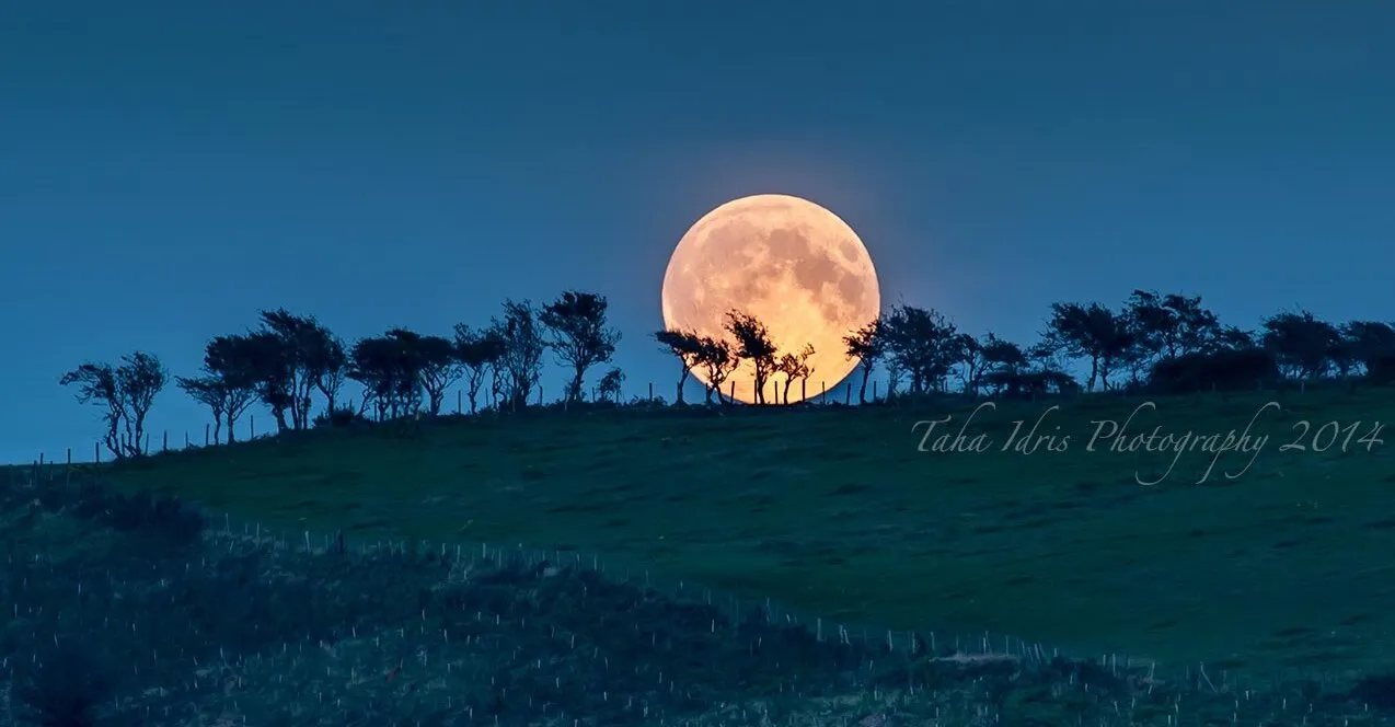Full (super) moon rising