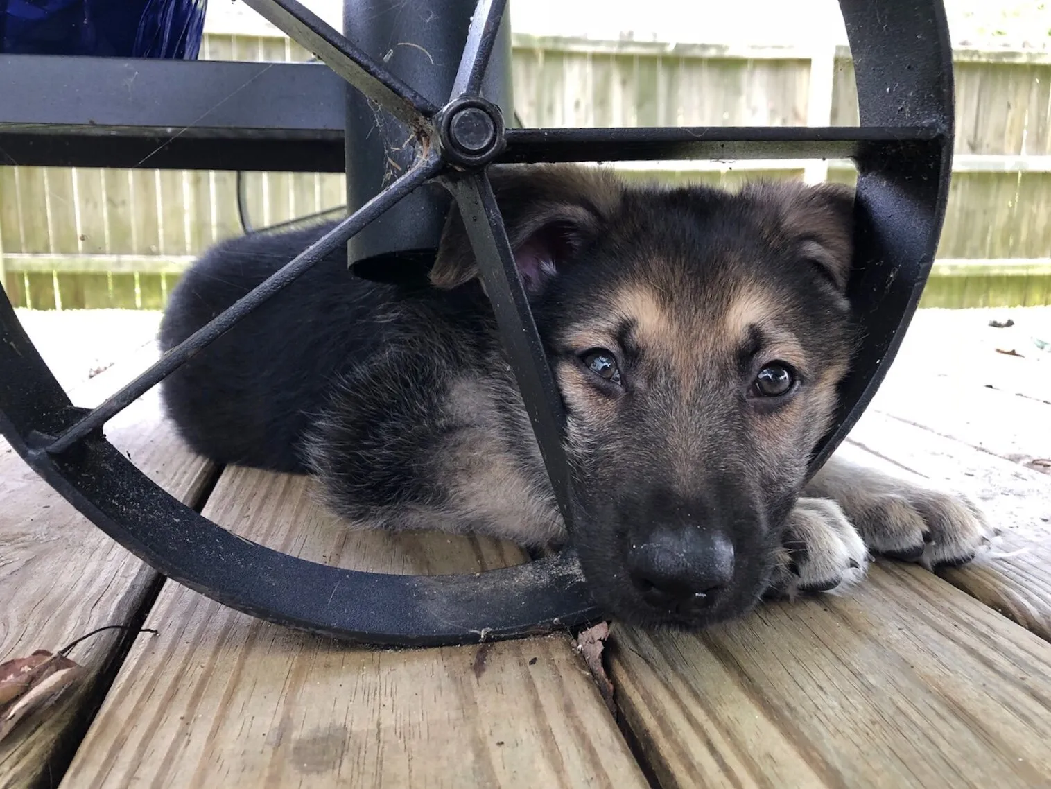 JACK'S FIRST DAY HOME