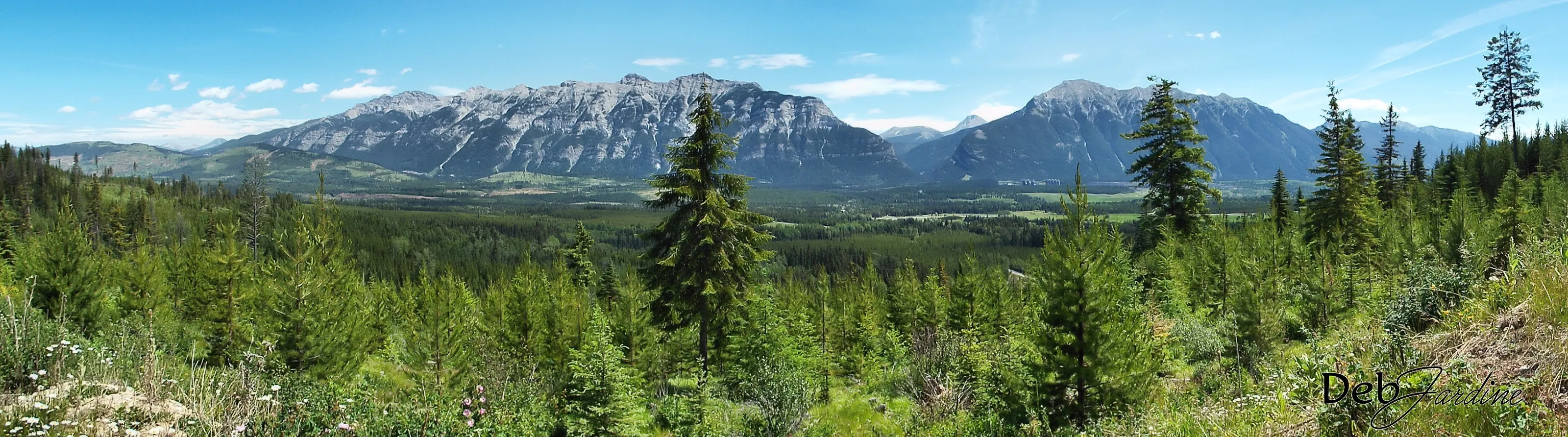 The Elk Valley