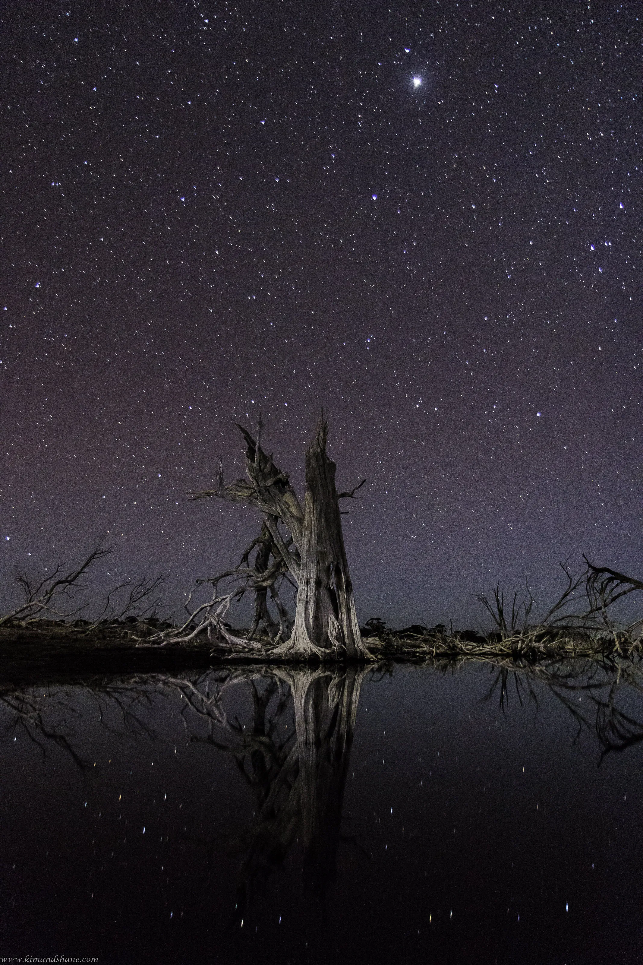 The Stillness of Lake Yenyenning