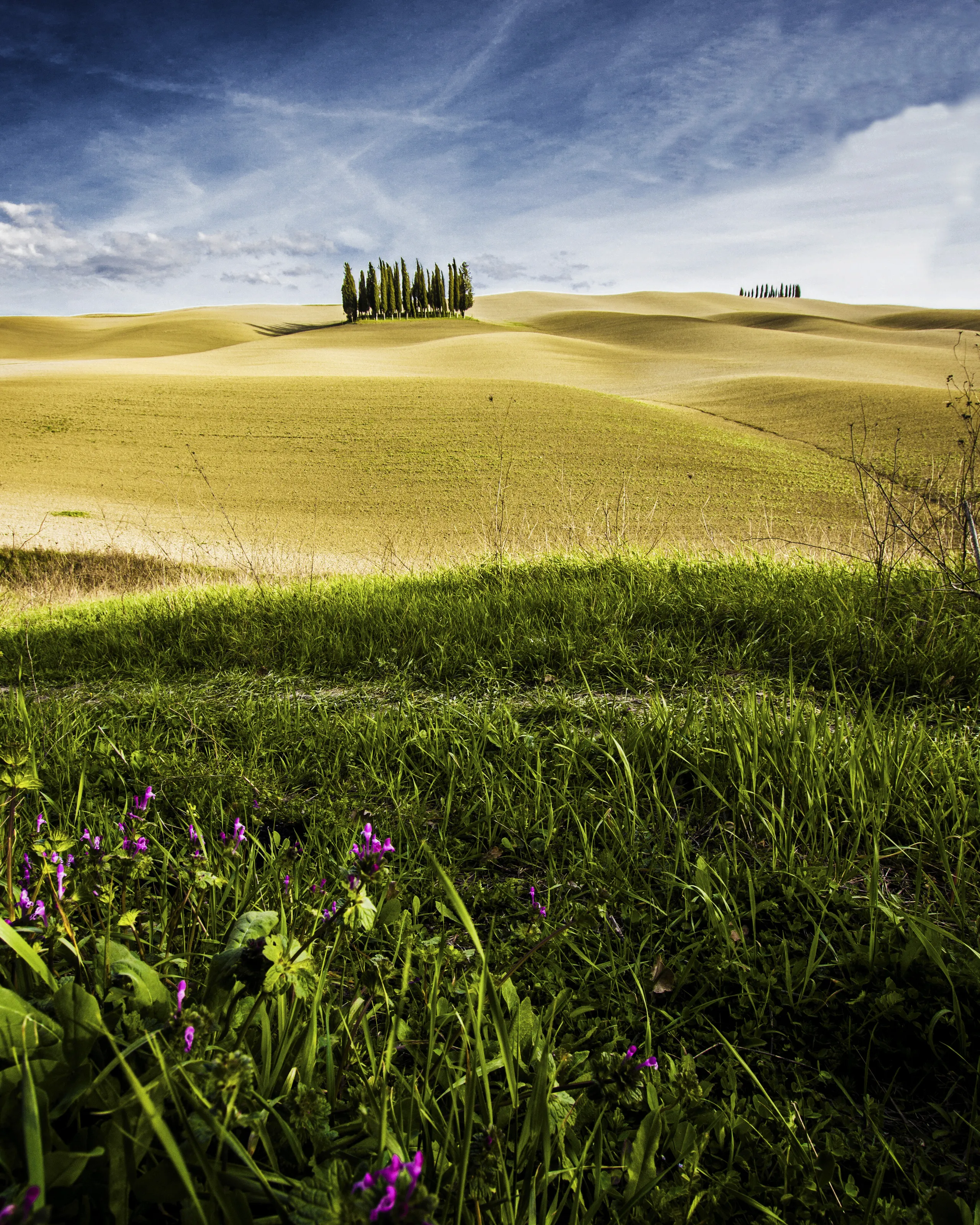 Val d'Orcia