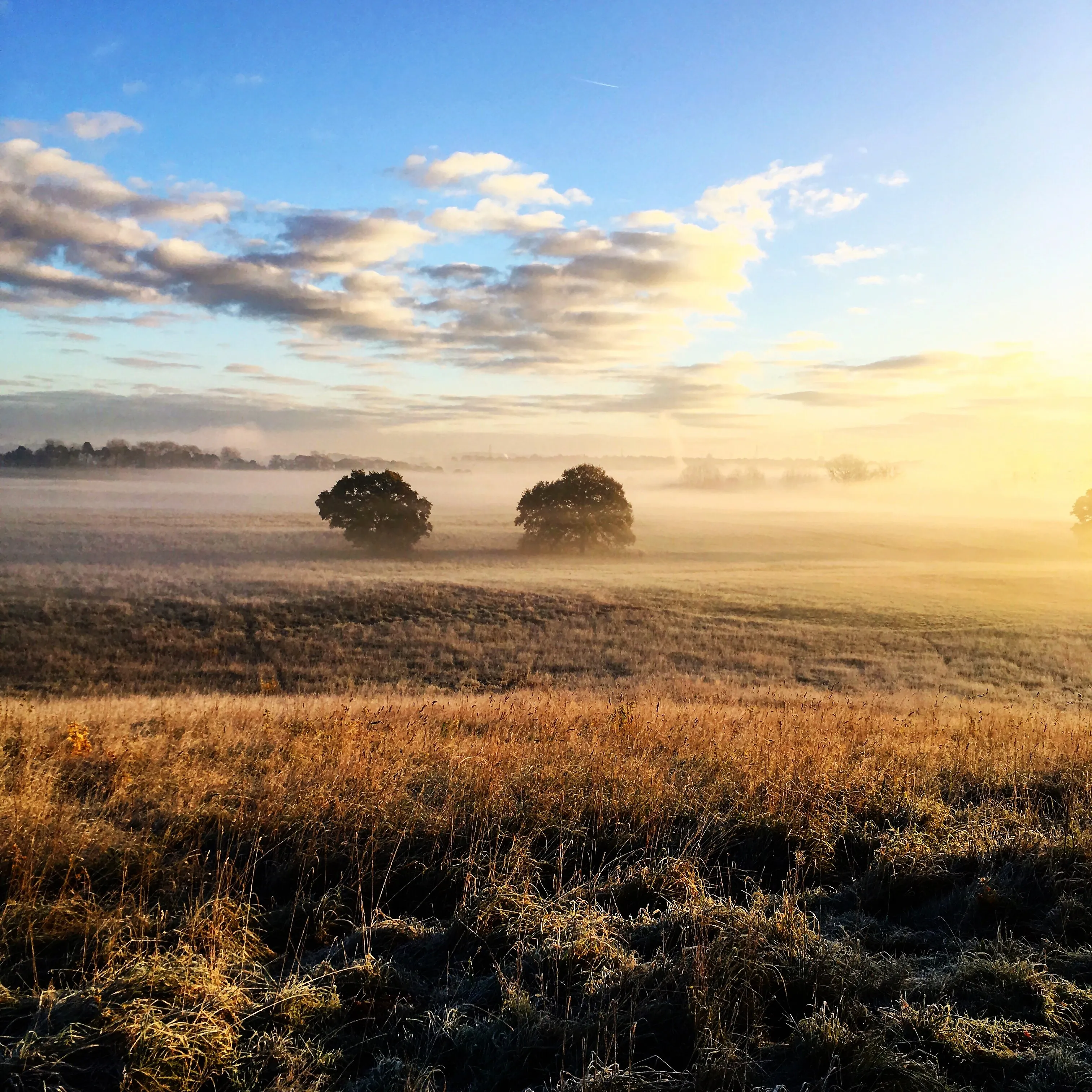 Early wander