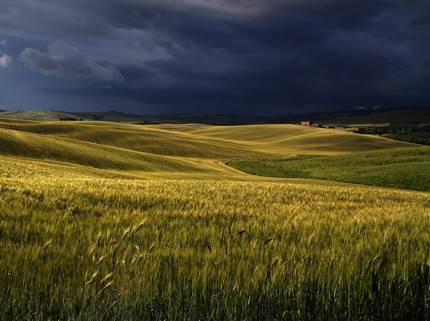 Tuscan Storm