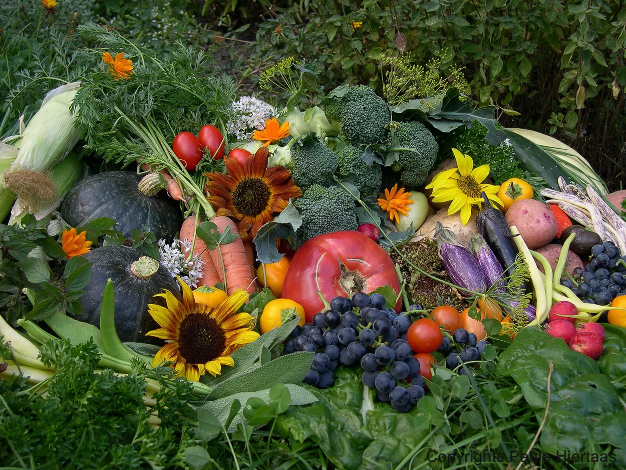 Entry 14100418