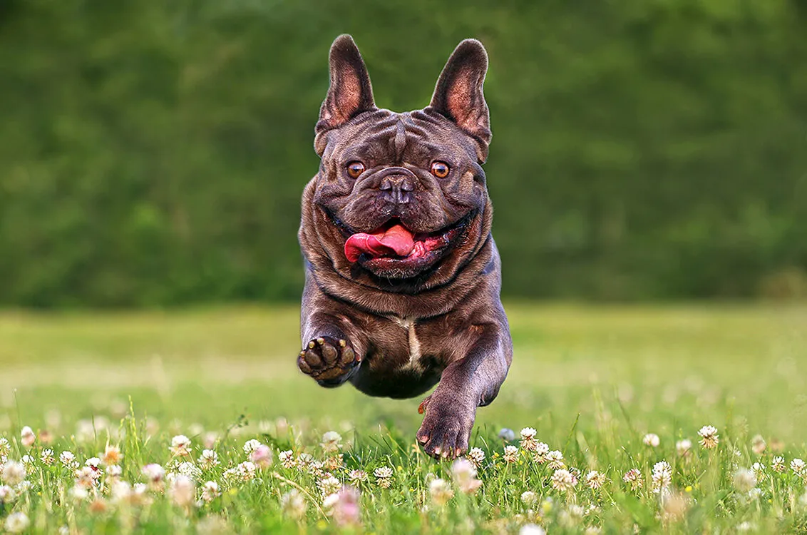 Entry 7776297