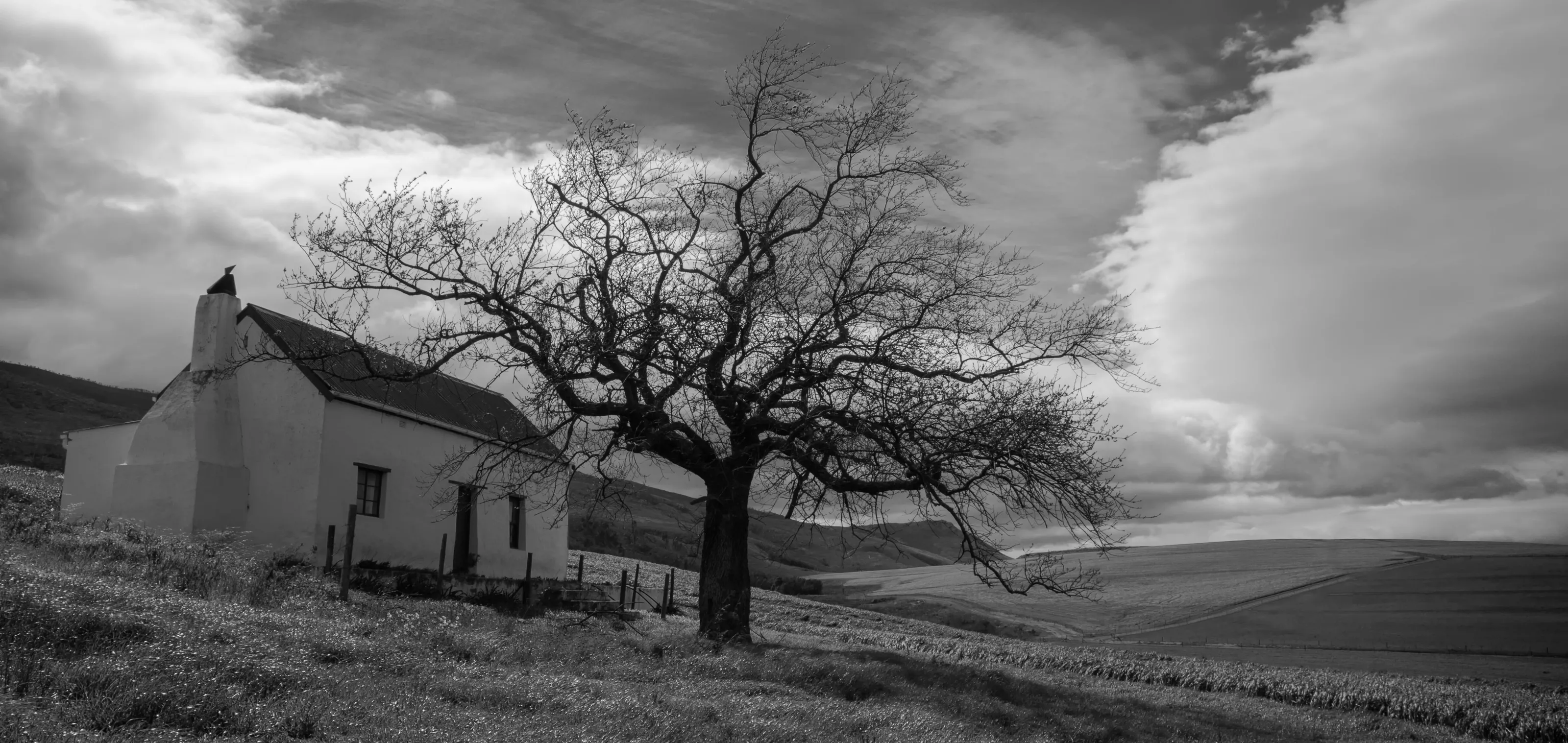 abandoned farm house
