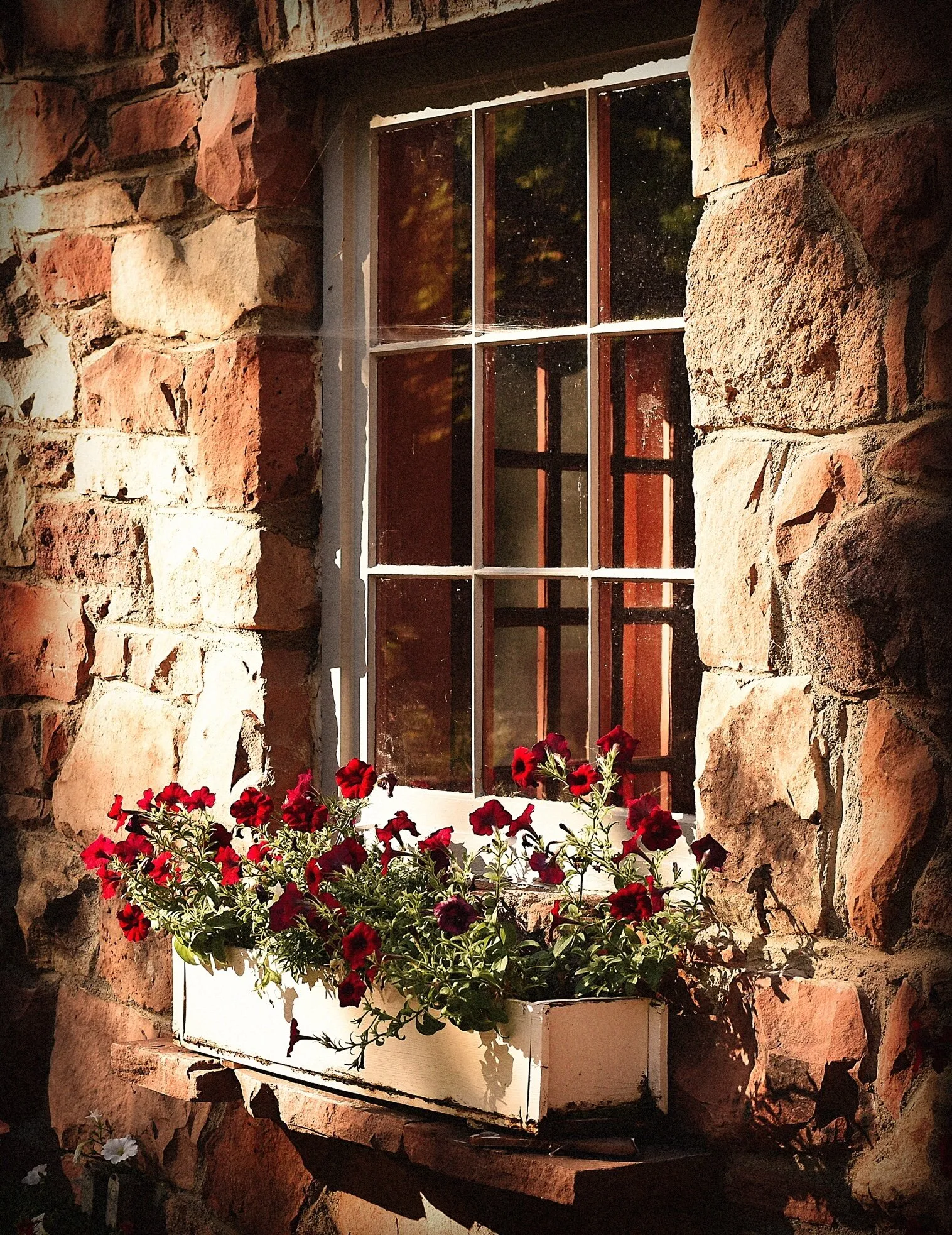 Colorado Lodge Windowbox