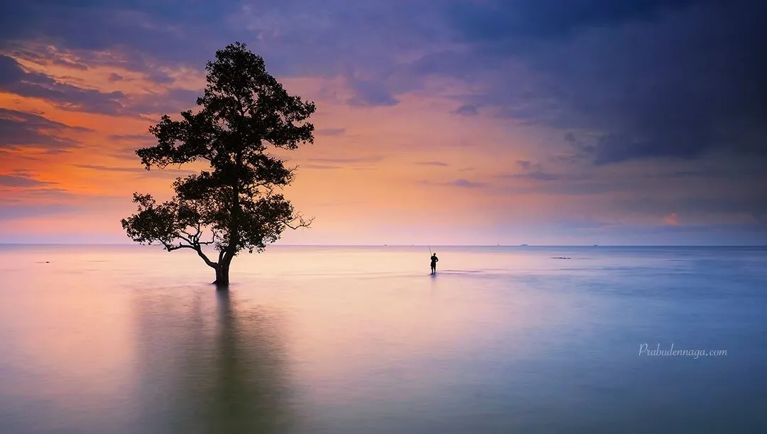 dusk ... man ... tree
