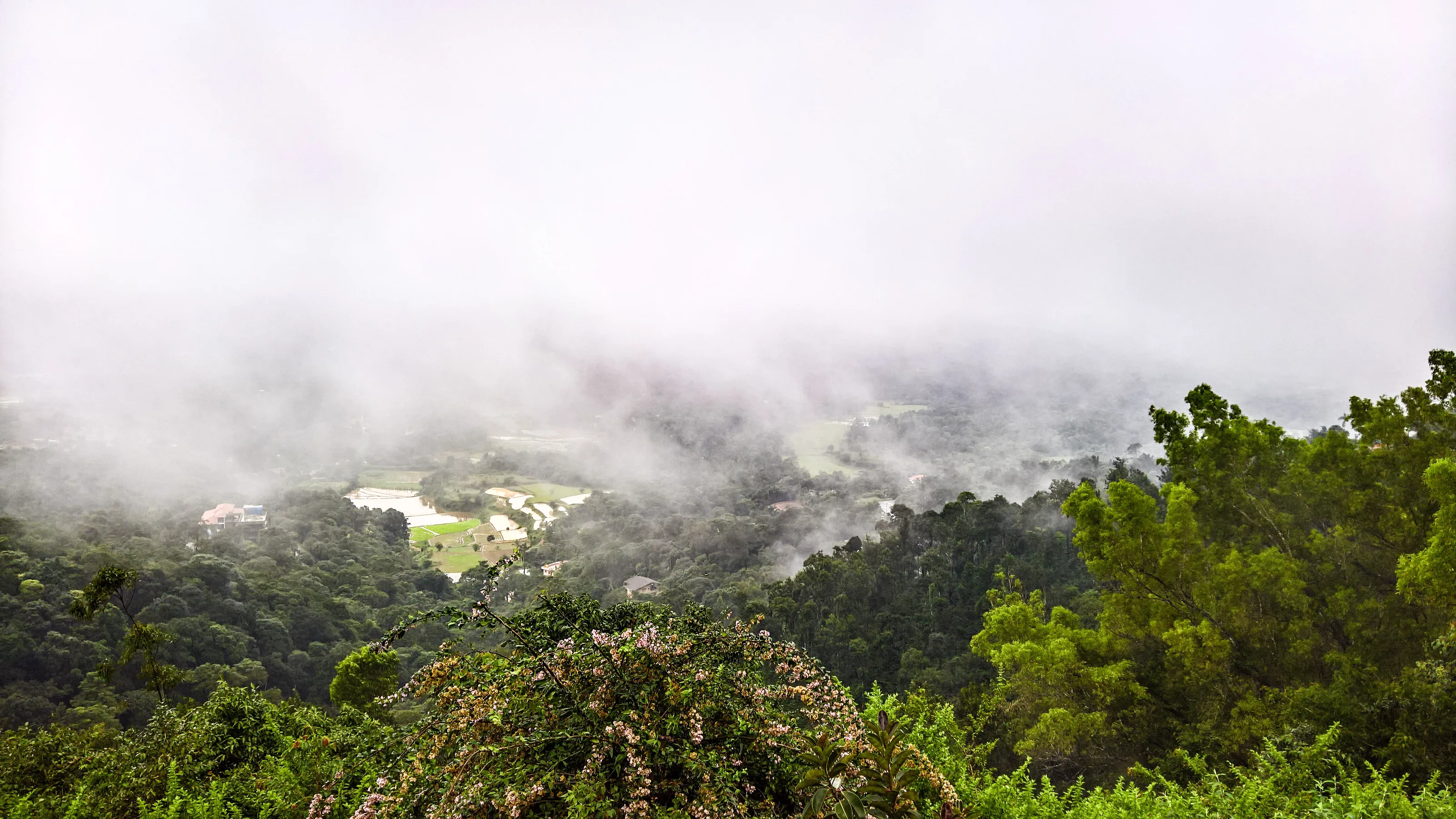 Fog over the Valley, Coorg