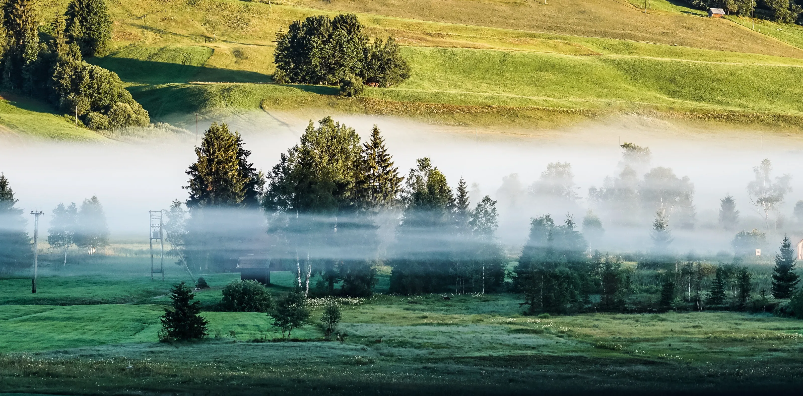Fog in the autumn morning