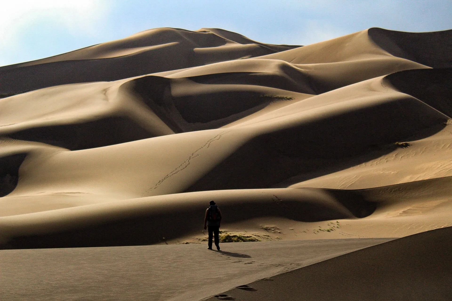The Dunewalker
